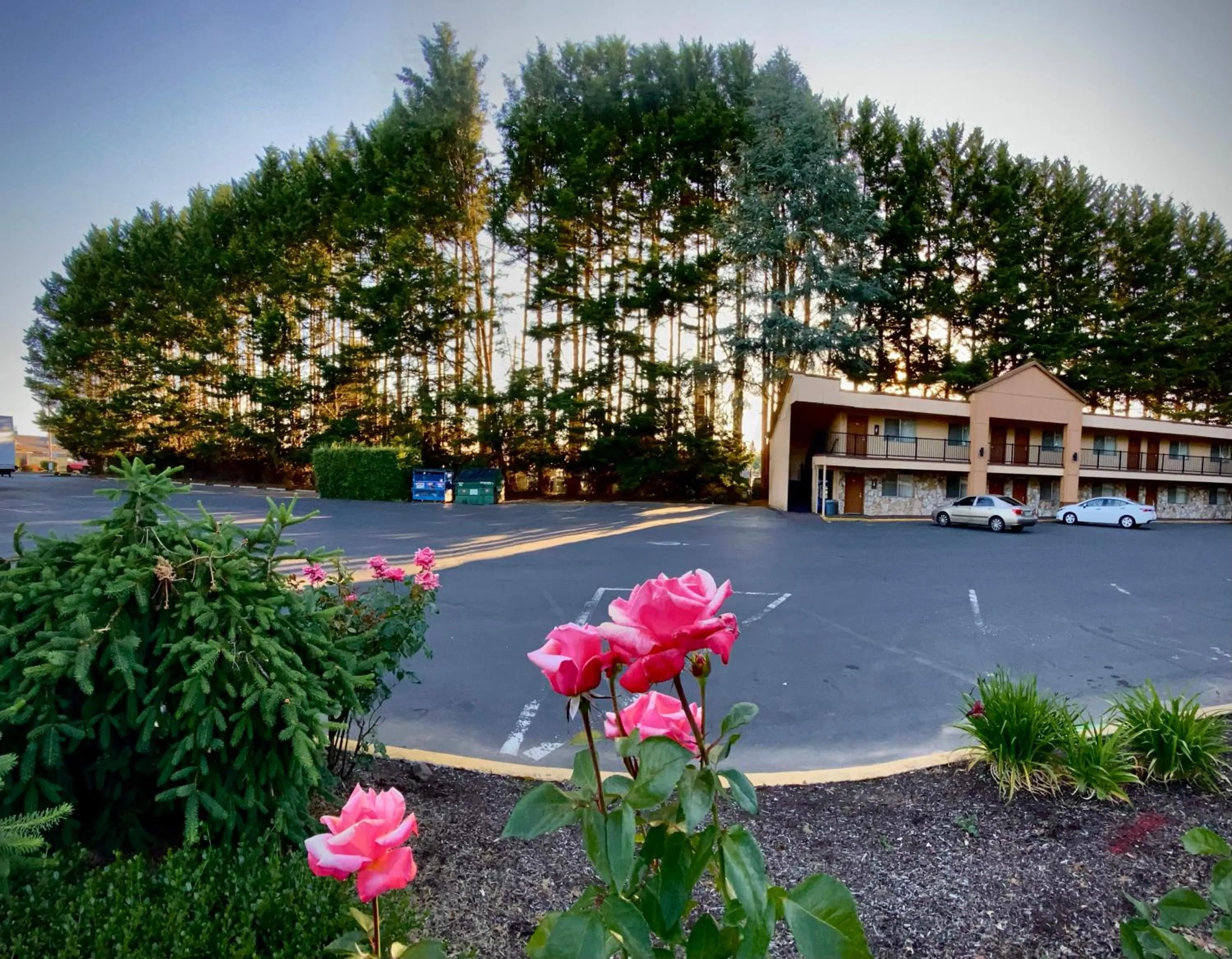 Property building in McMinnville Inn