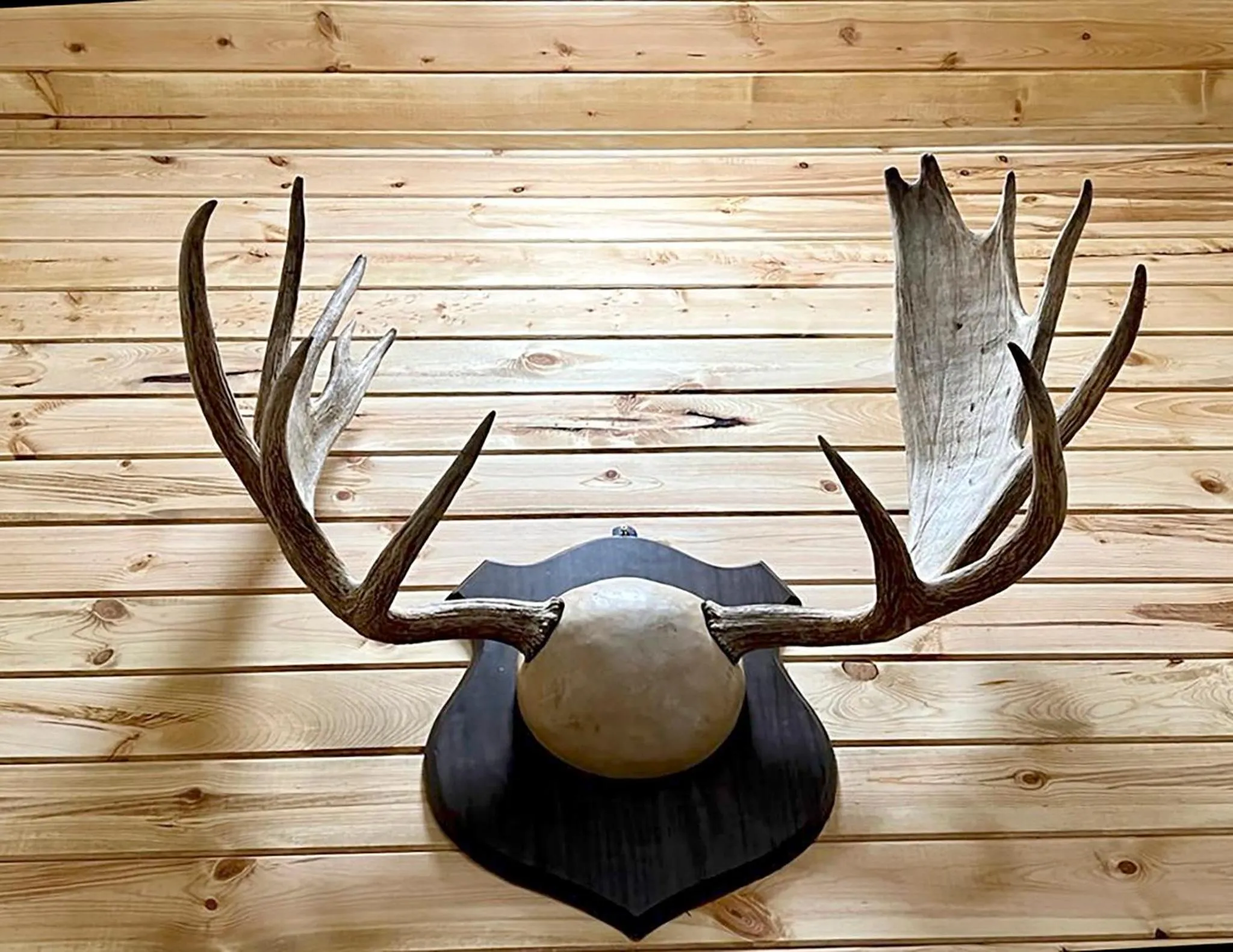 Property building in Beartooth Hideaway Inn & Cabins