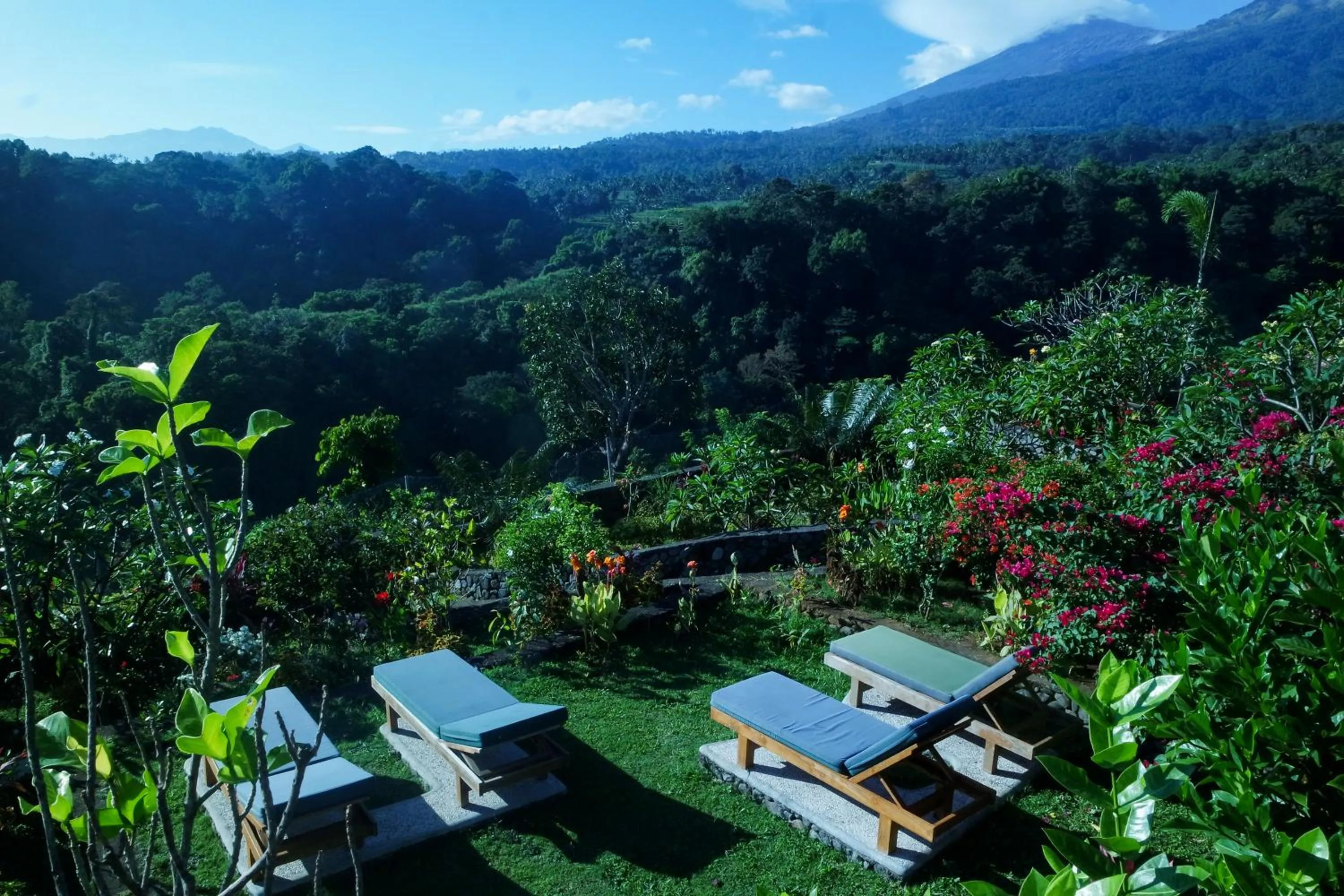 Garden in Rinjani Lodge