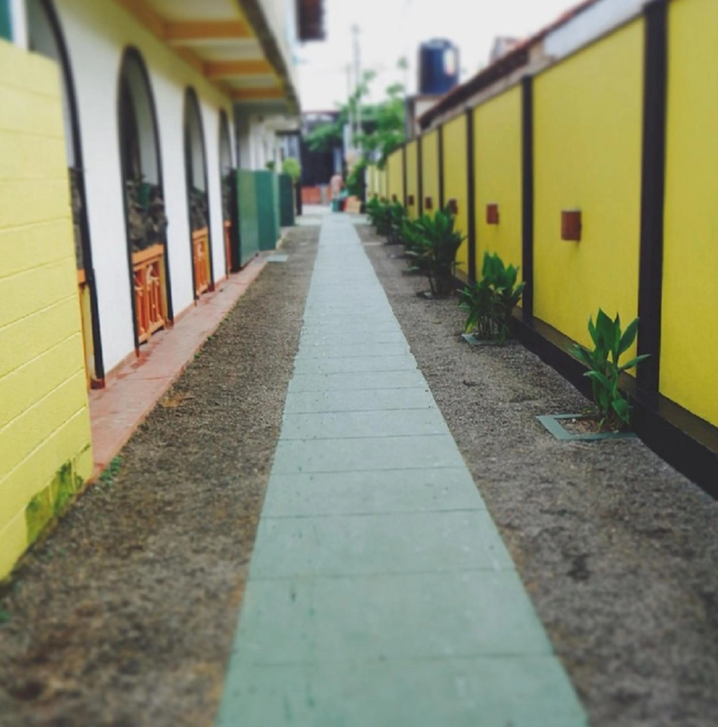 Natural landscape in Casalanka Hotel