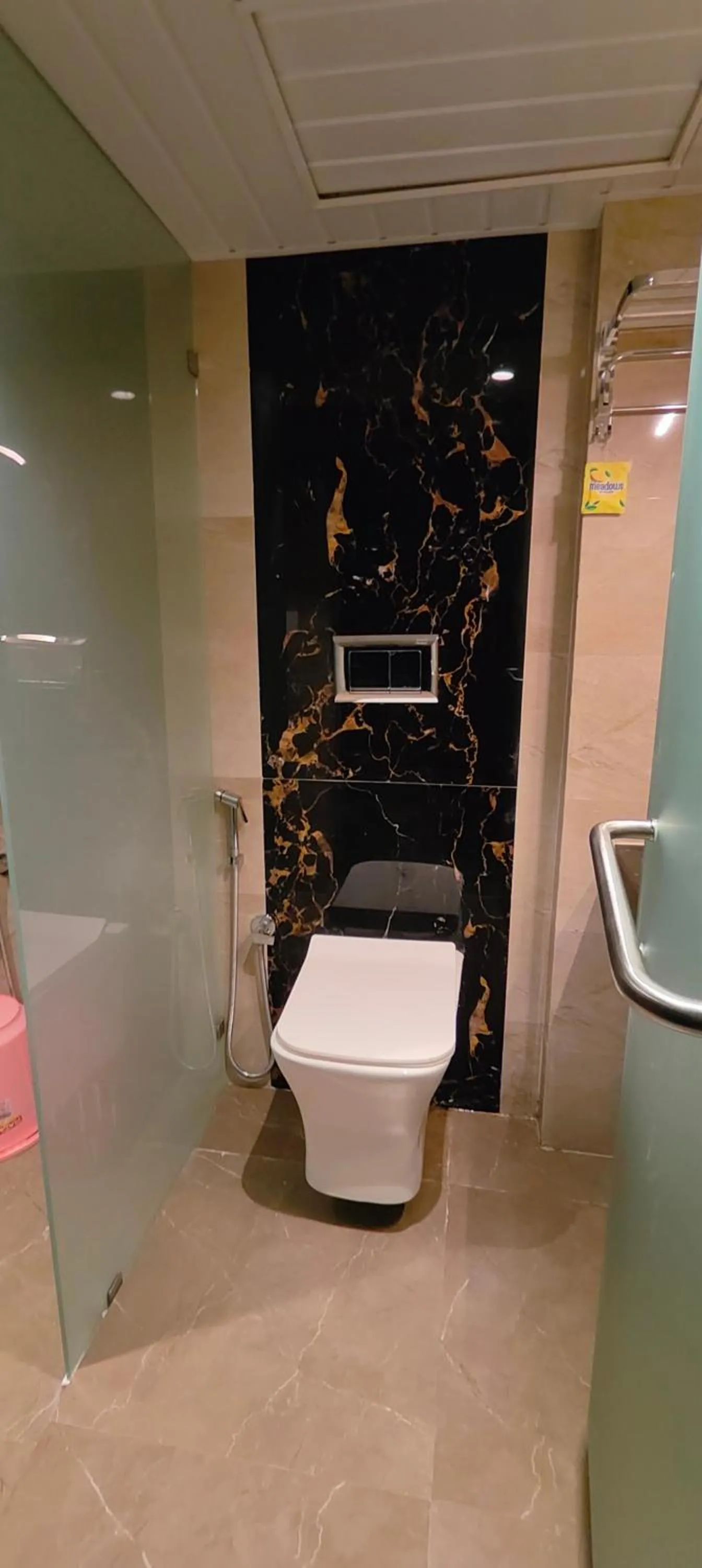 Toilet in Grand Dyad Hotel - Near Kokilaben Hospital Andheri West