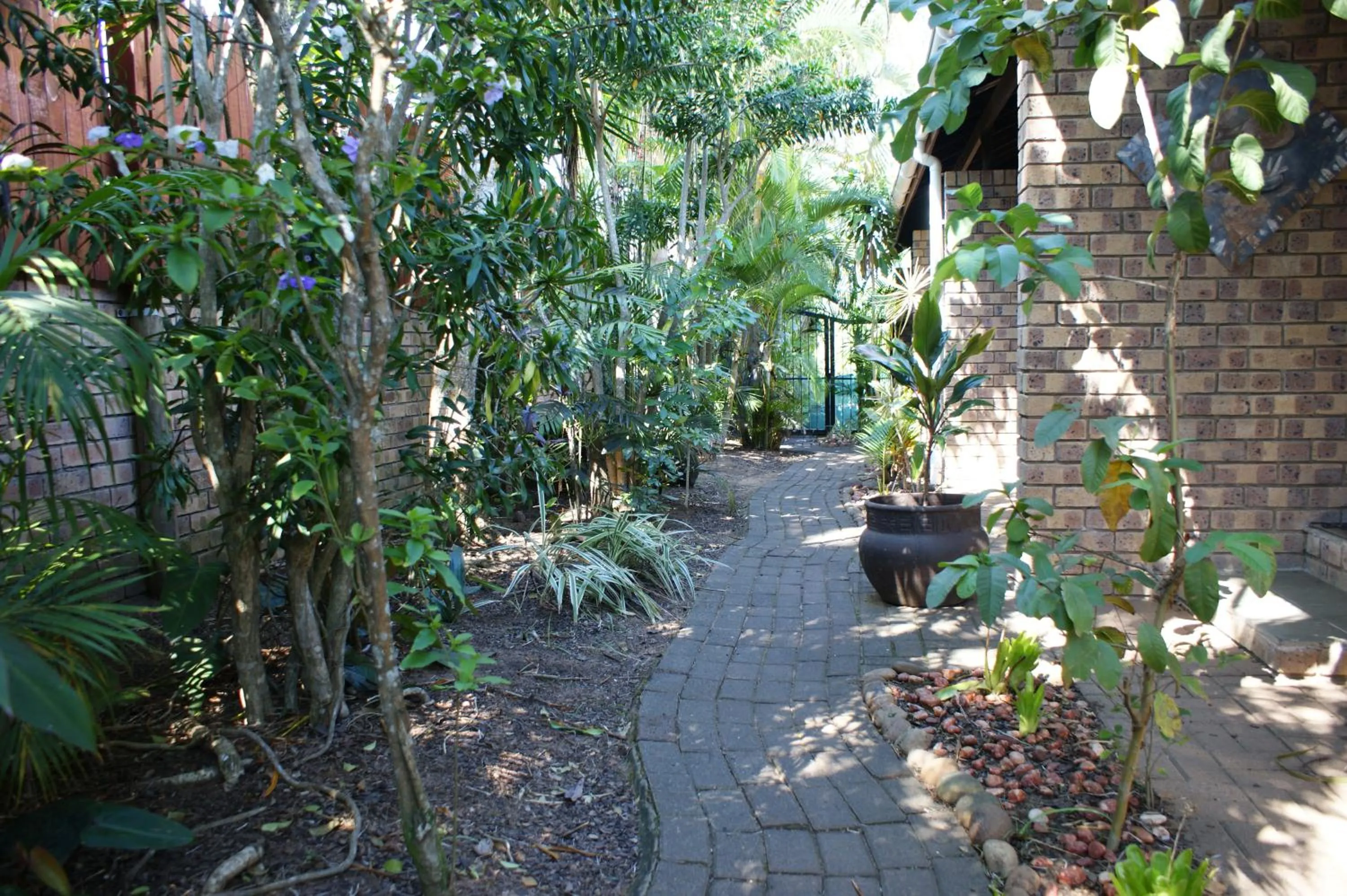 Garden in Bhangazi Lodge Bed & Breakfast