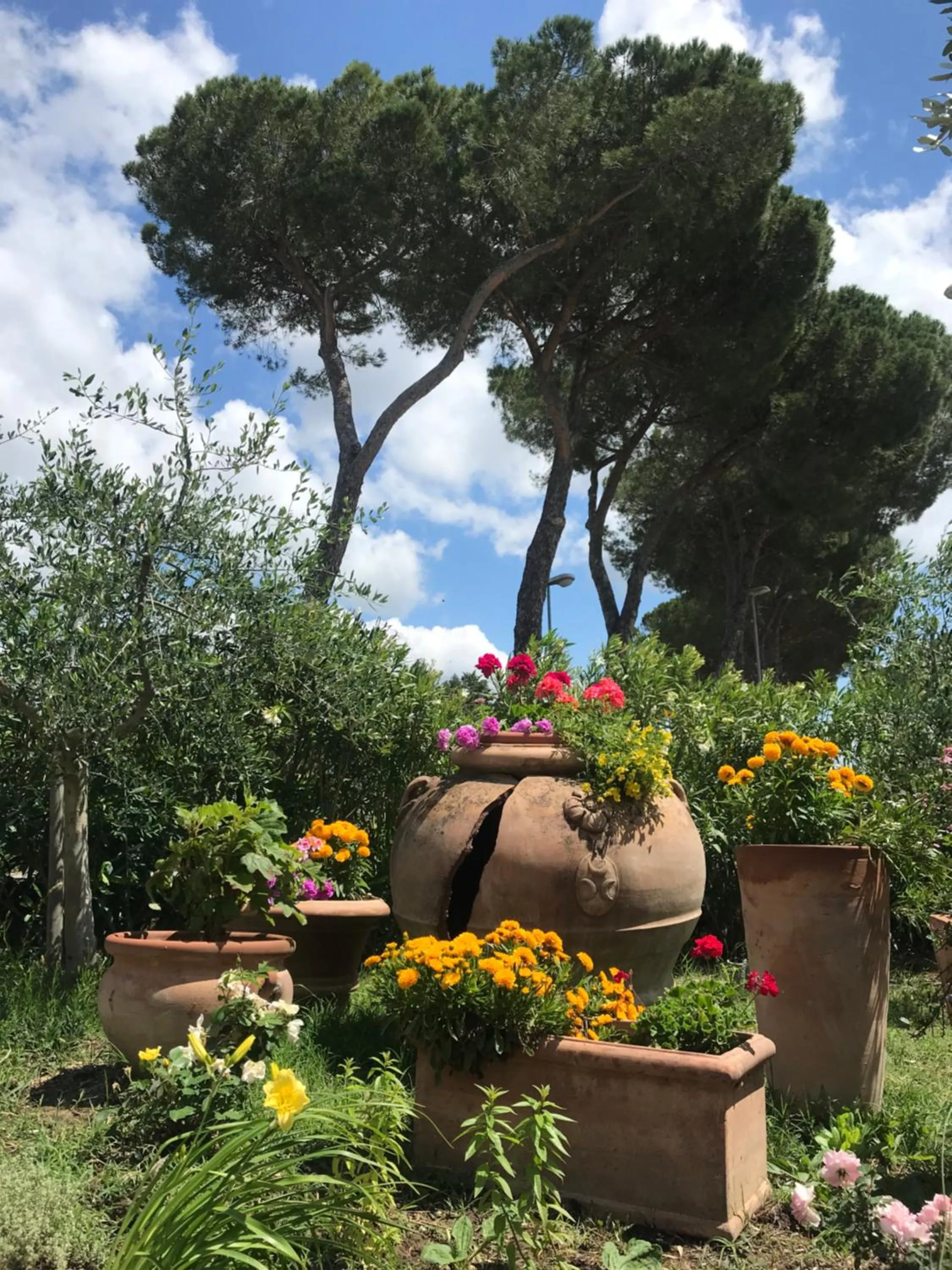 Garden in La Locanda Paradiso