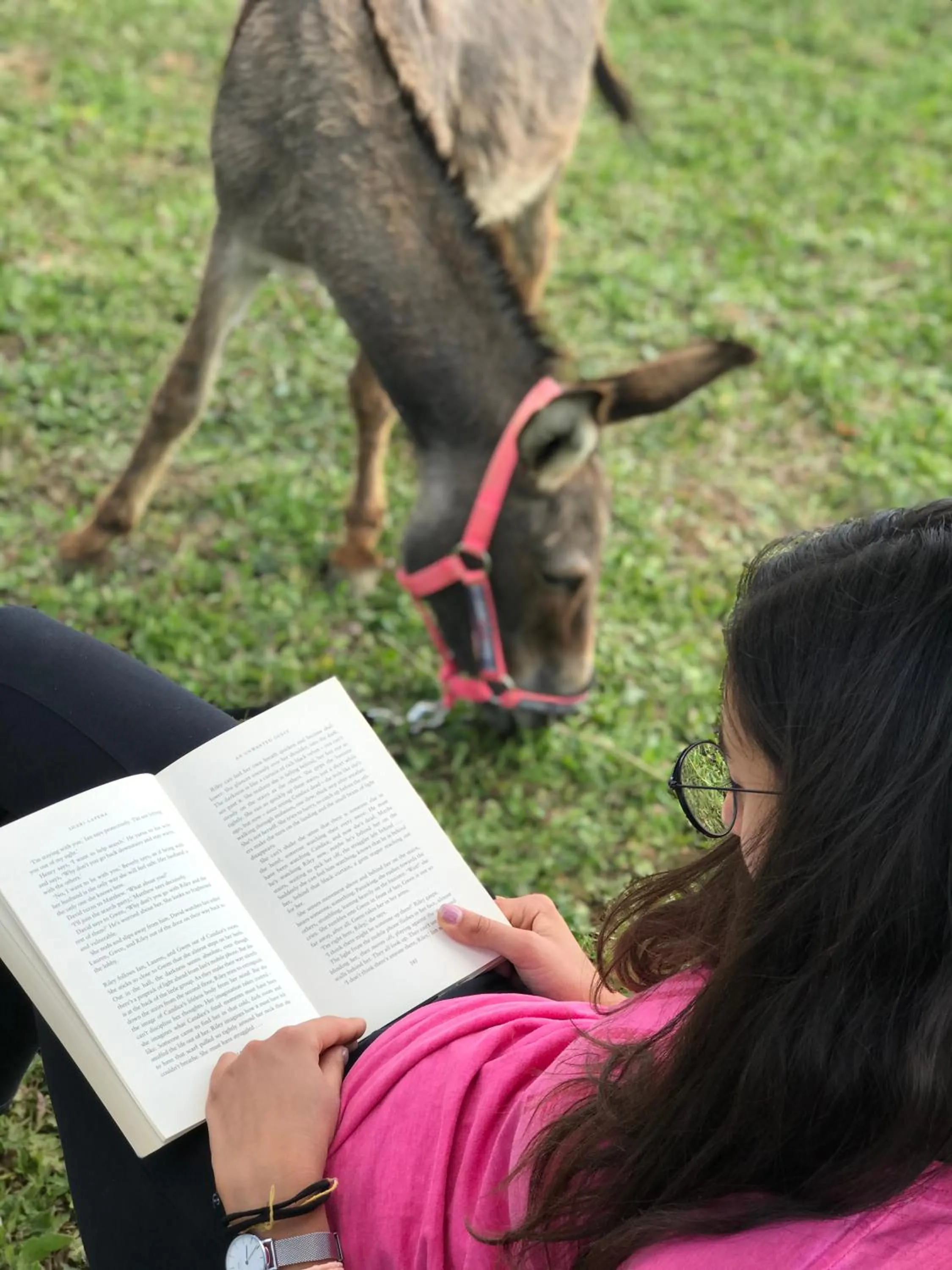 Animals in La Locanda Paradiso