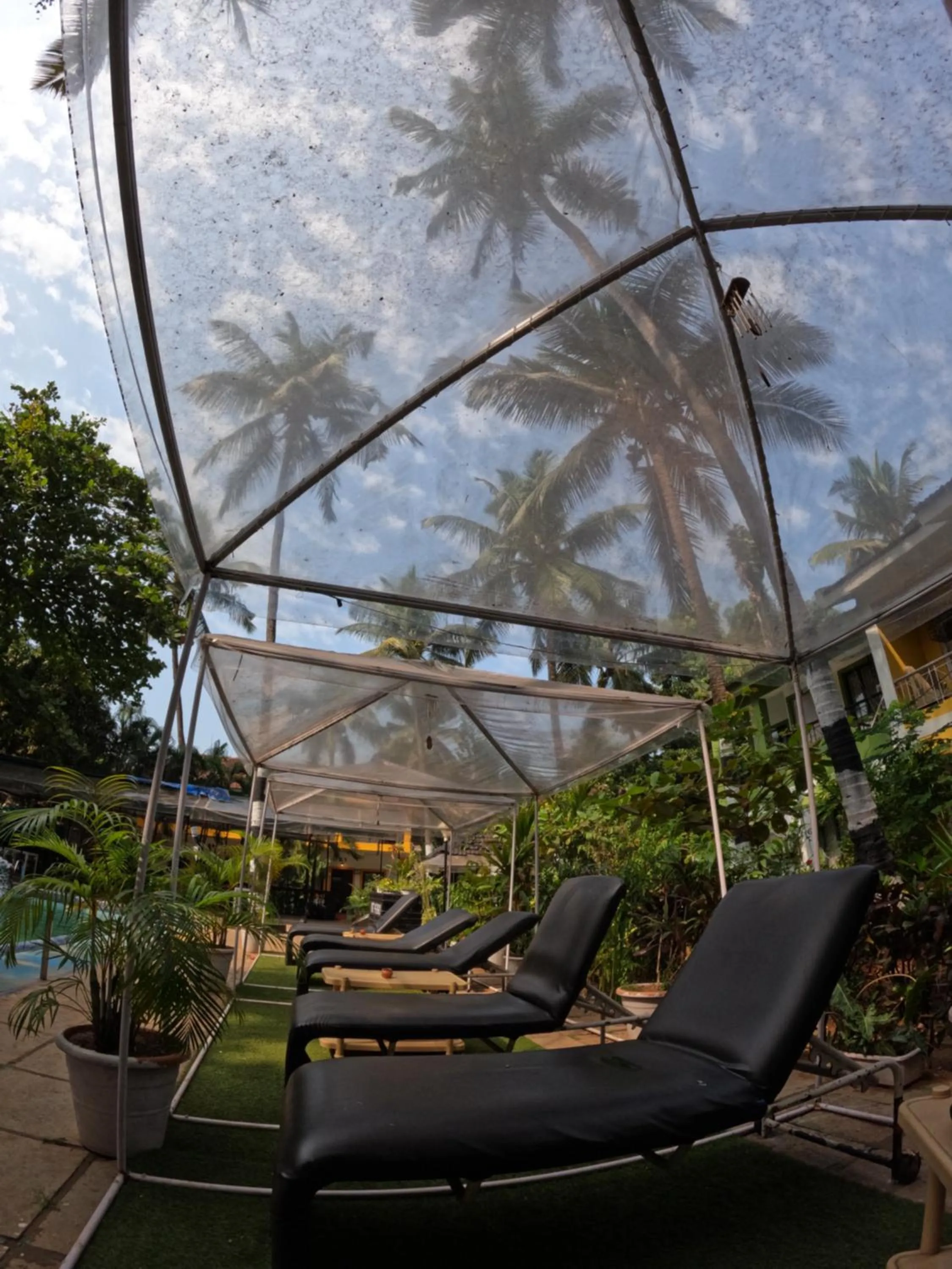 Natural landscape in Ondas Do Mar Beach Resort Phase-1