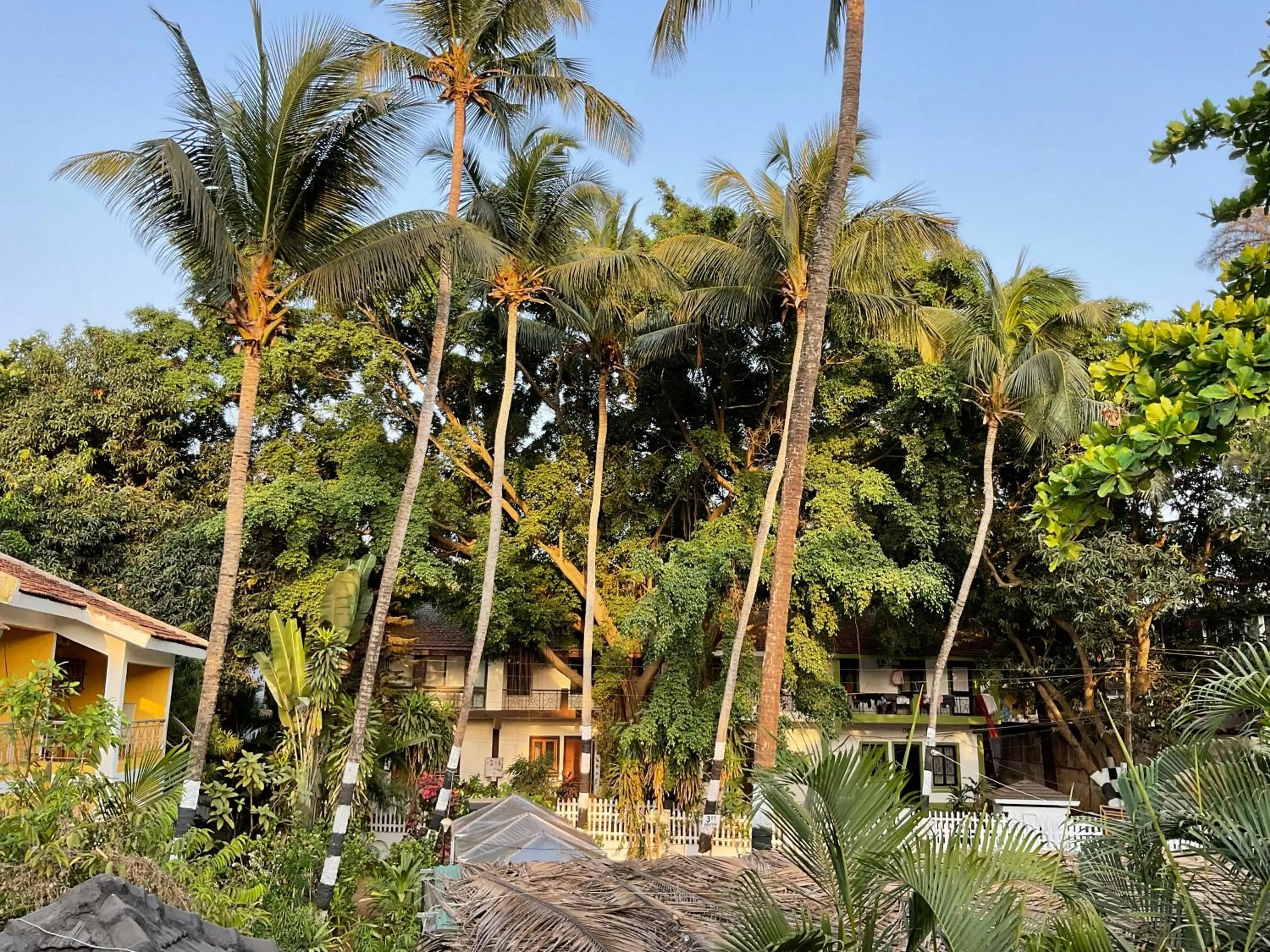 Natural landscape in Ondas Do Mar Beach Resort Phase-1