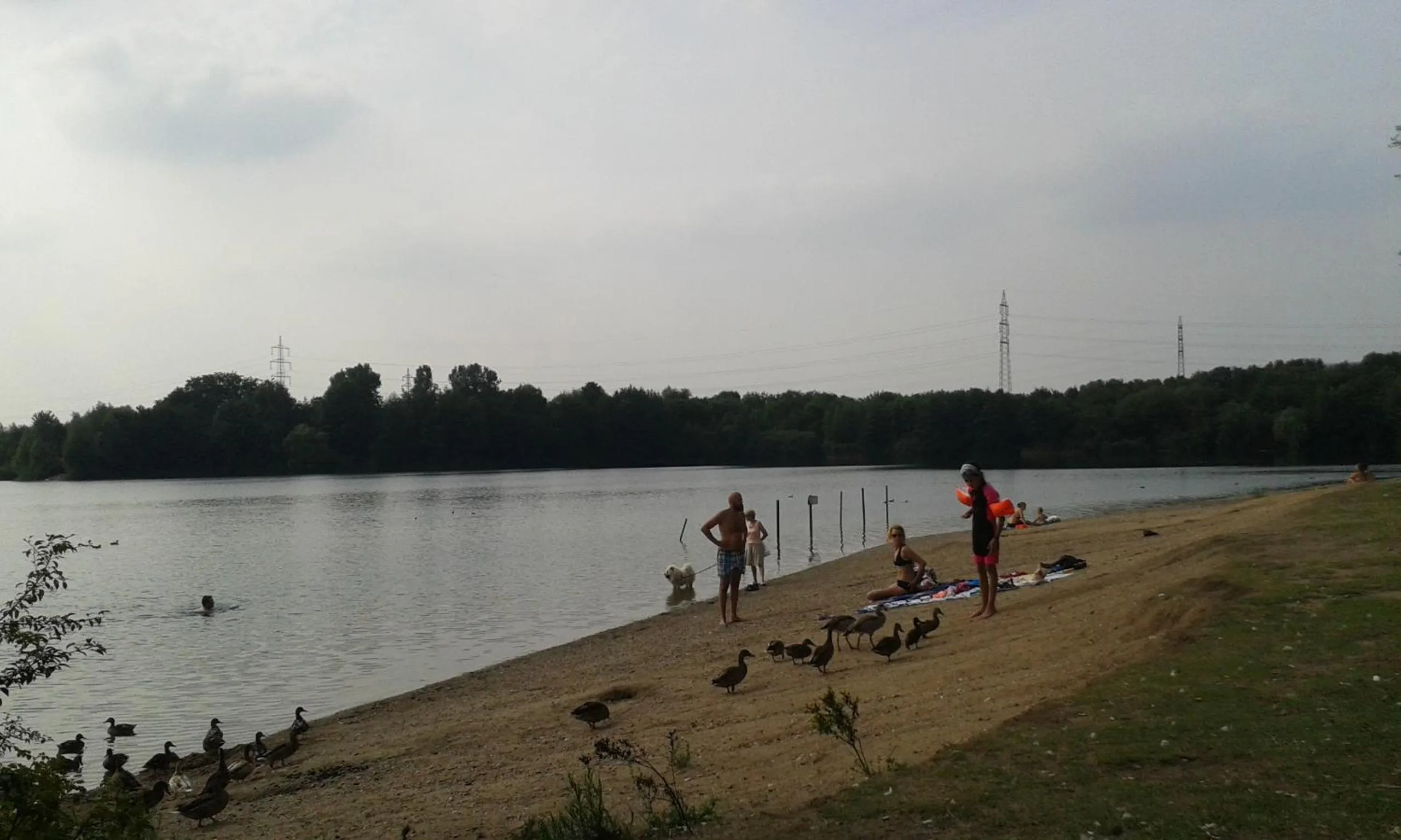 Beach in B&B am See Köln - Privatzimmer