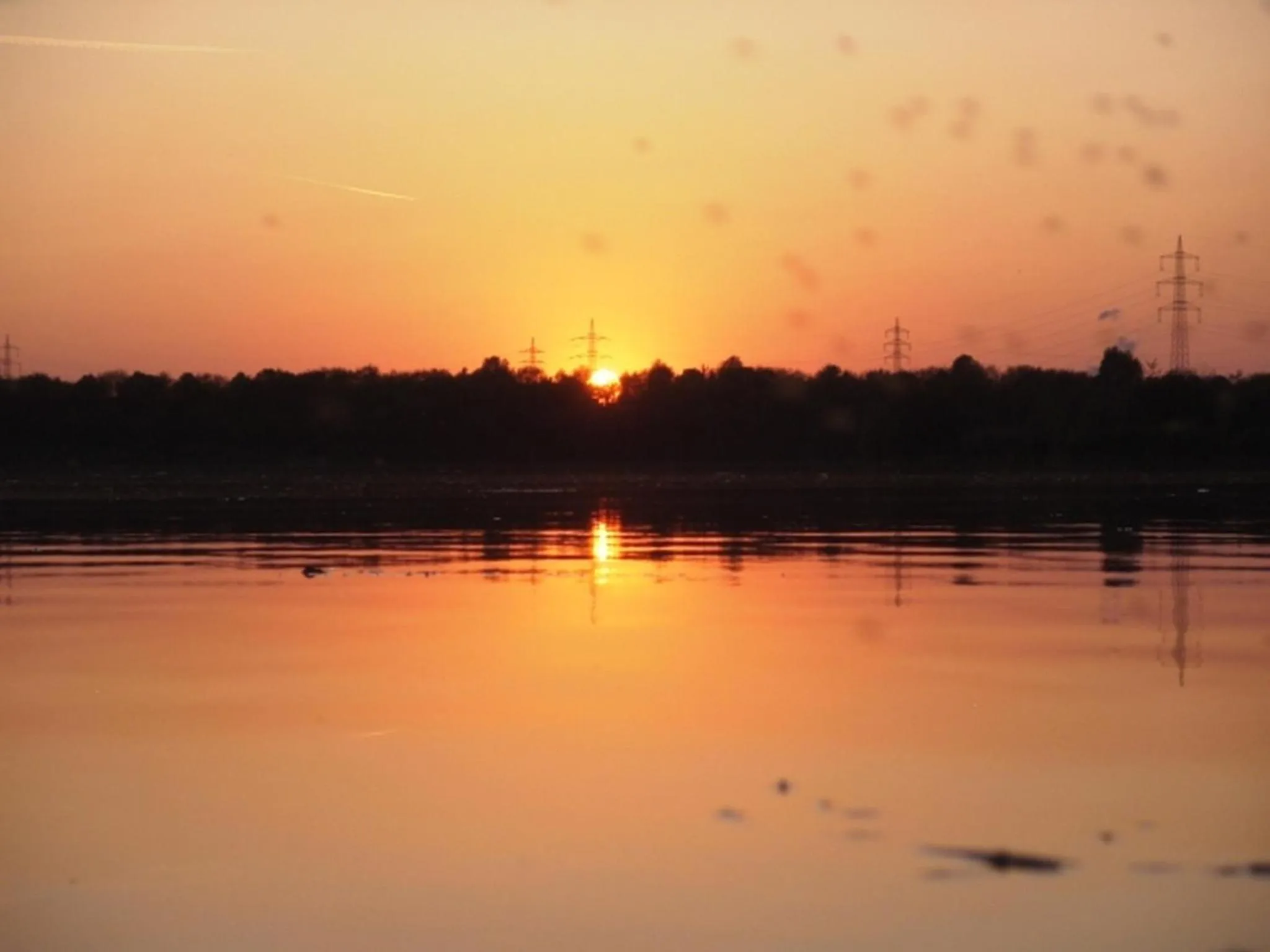 Summer in B&B am See Köln - Privatzimmer