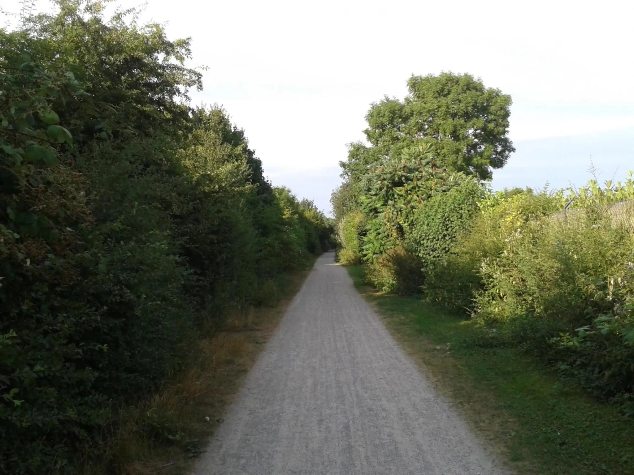 Nearby landmark in B&B am See Köln - Privatzimmer
