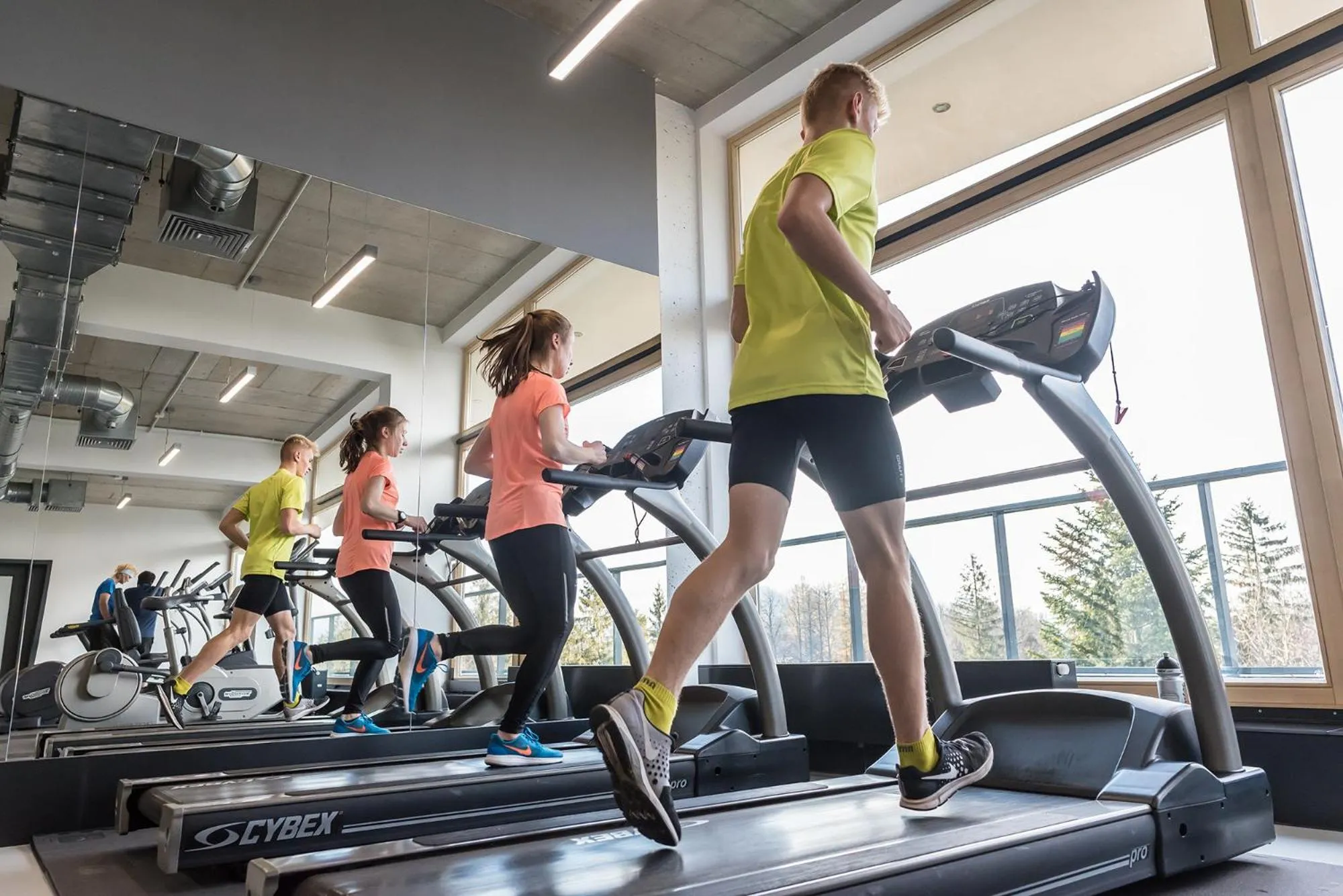 Activities in Rezydencja Nosalowy Dwór