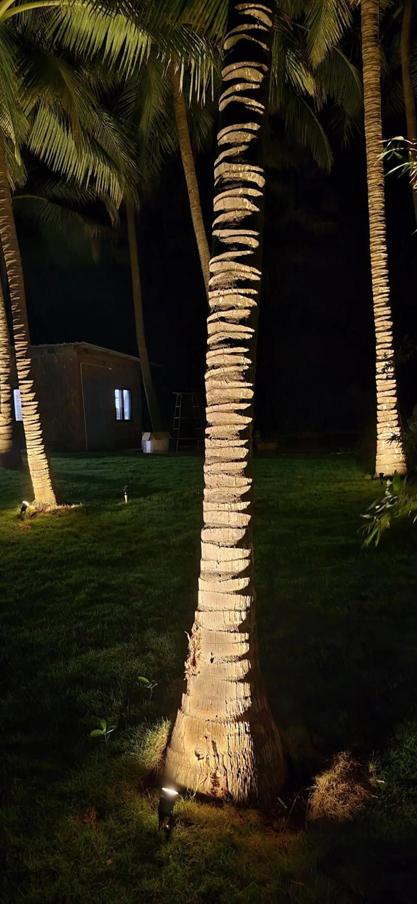 Natural landscape in Kurma A Private Beach