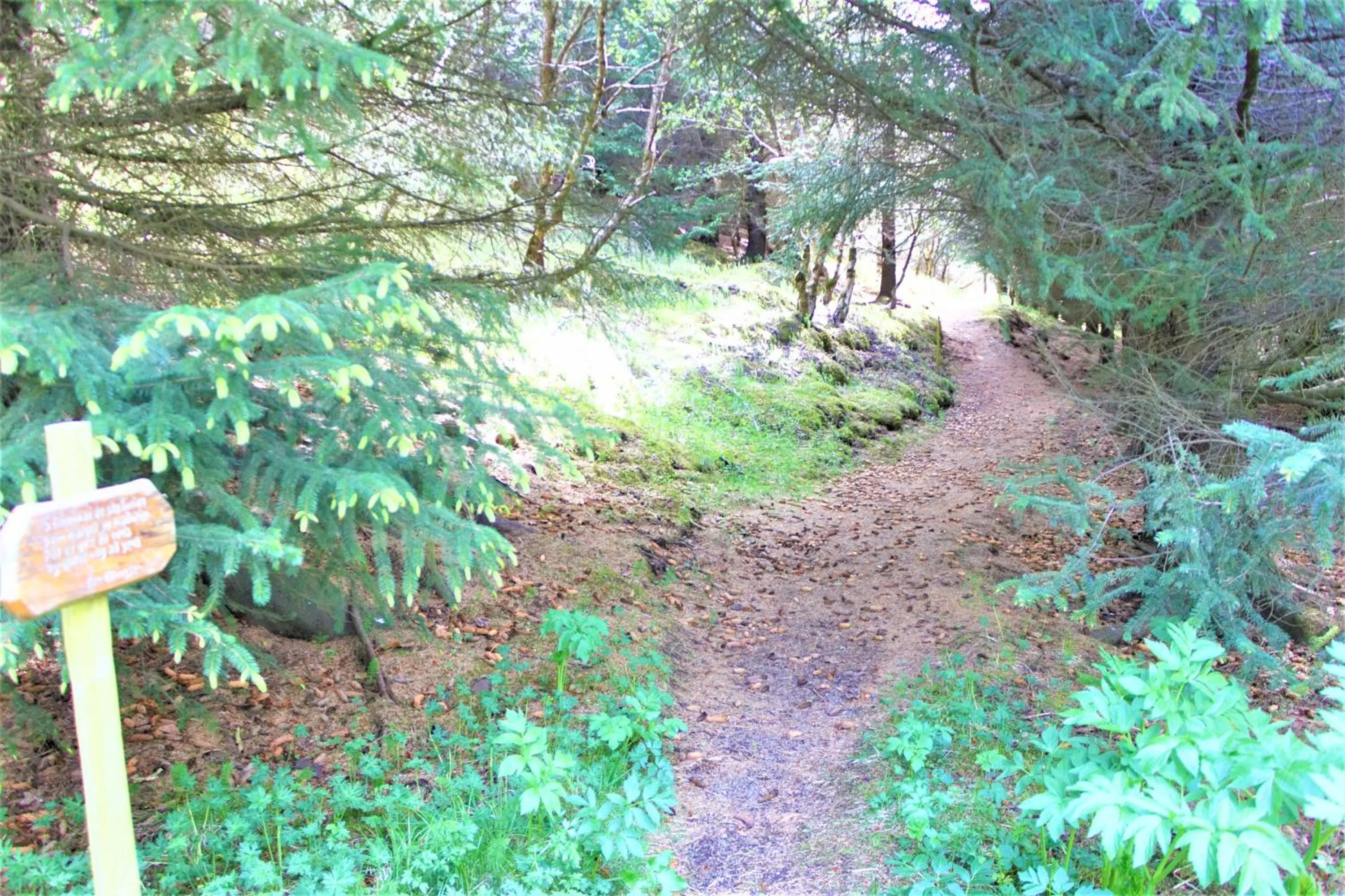Garden view in Solheimar Eco-Village Guesthouse