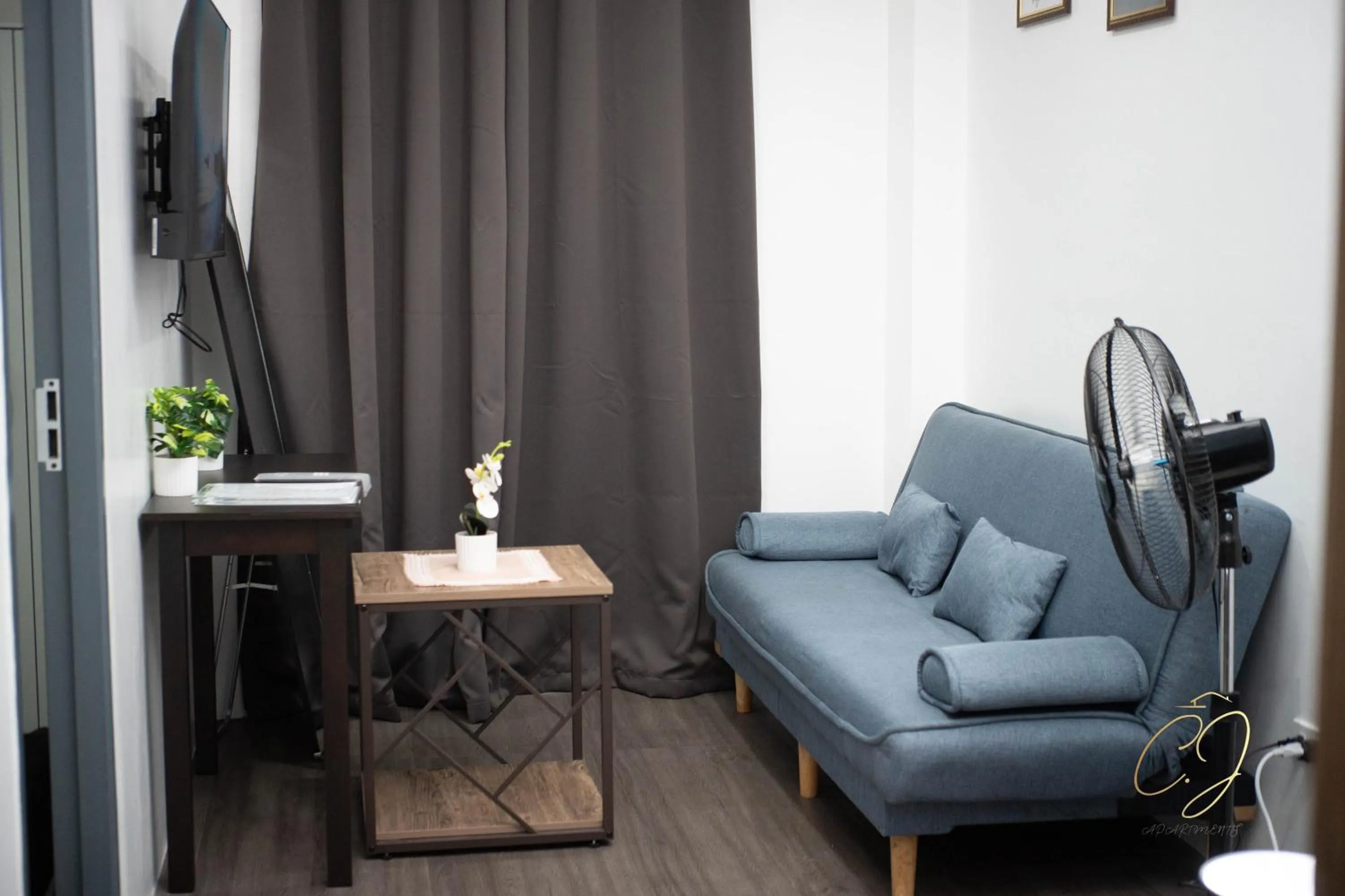 TV and multimedia in CJ Apartments