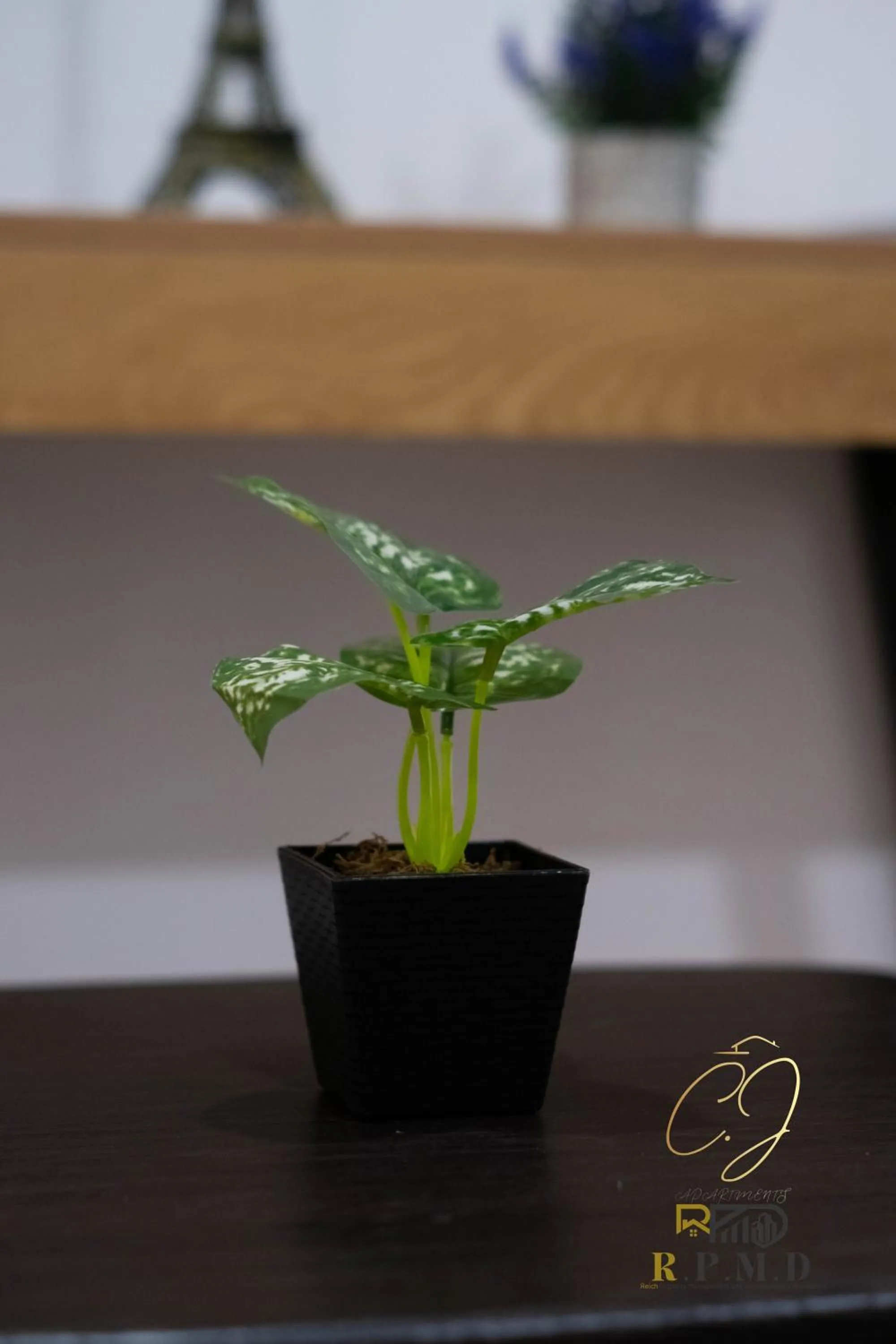 Decorative detail in CJ Apartments