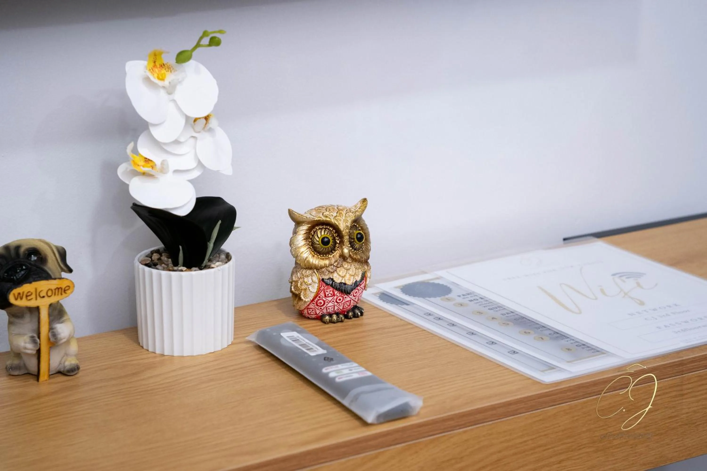 Decorative detail in CJ Apartments