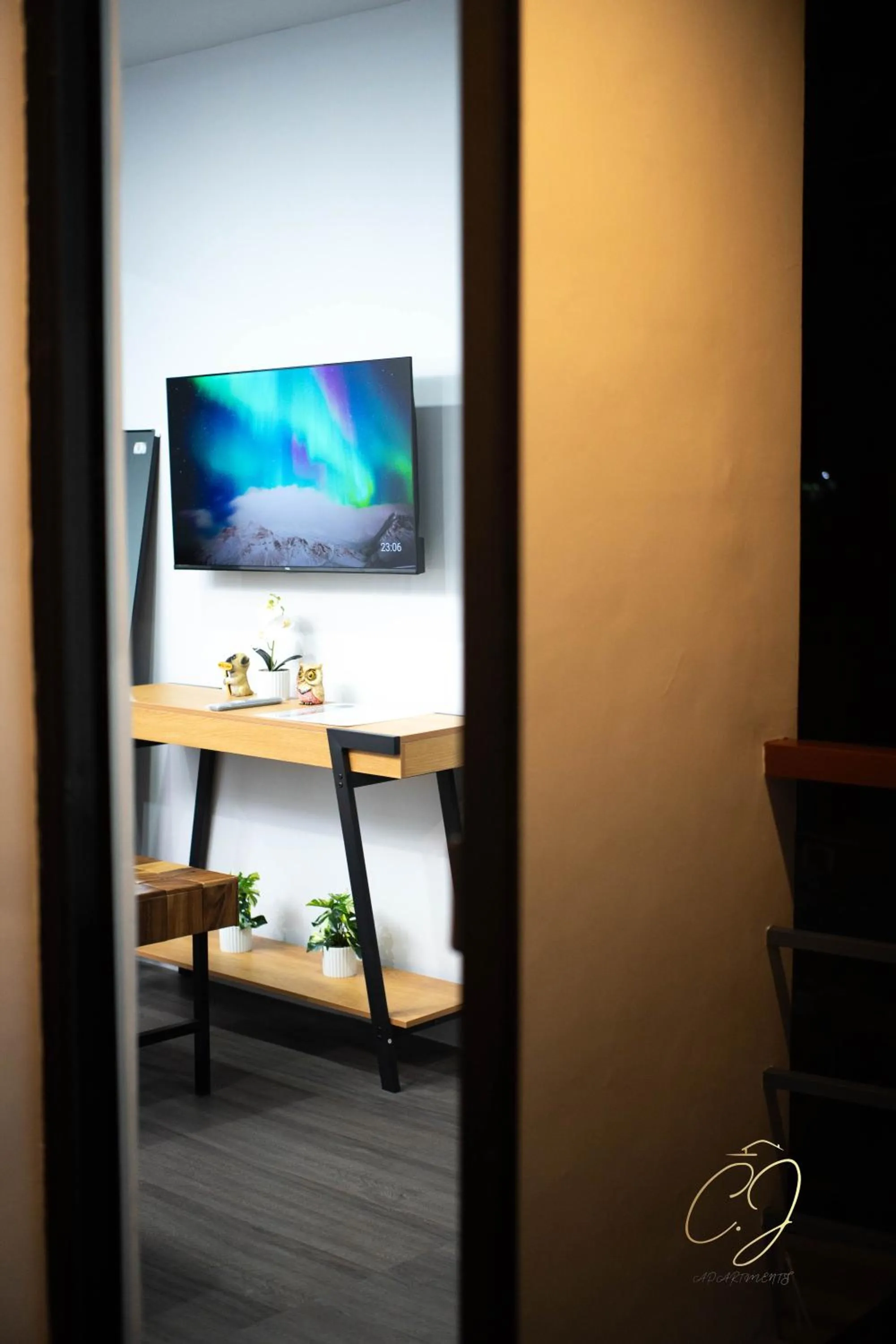 TV and multimedia in CJ Apartments