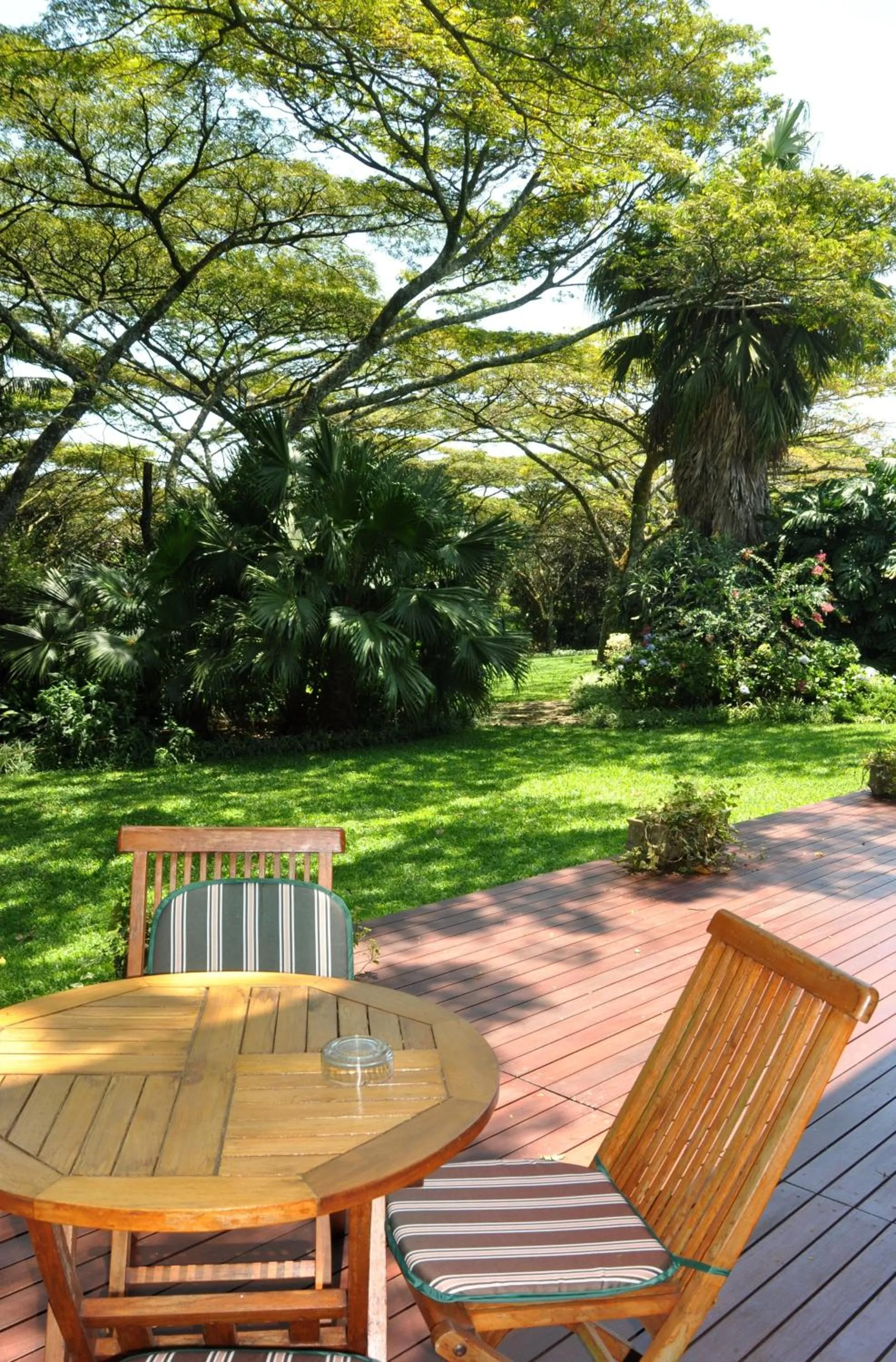 Patio in Birds of Paradise B&B