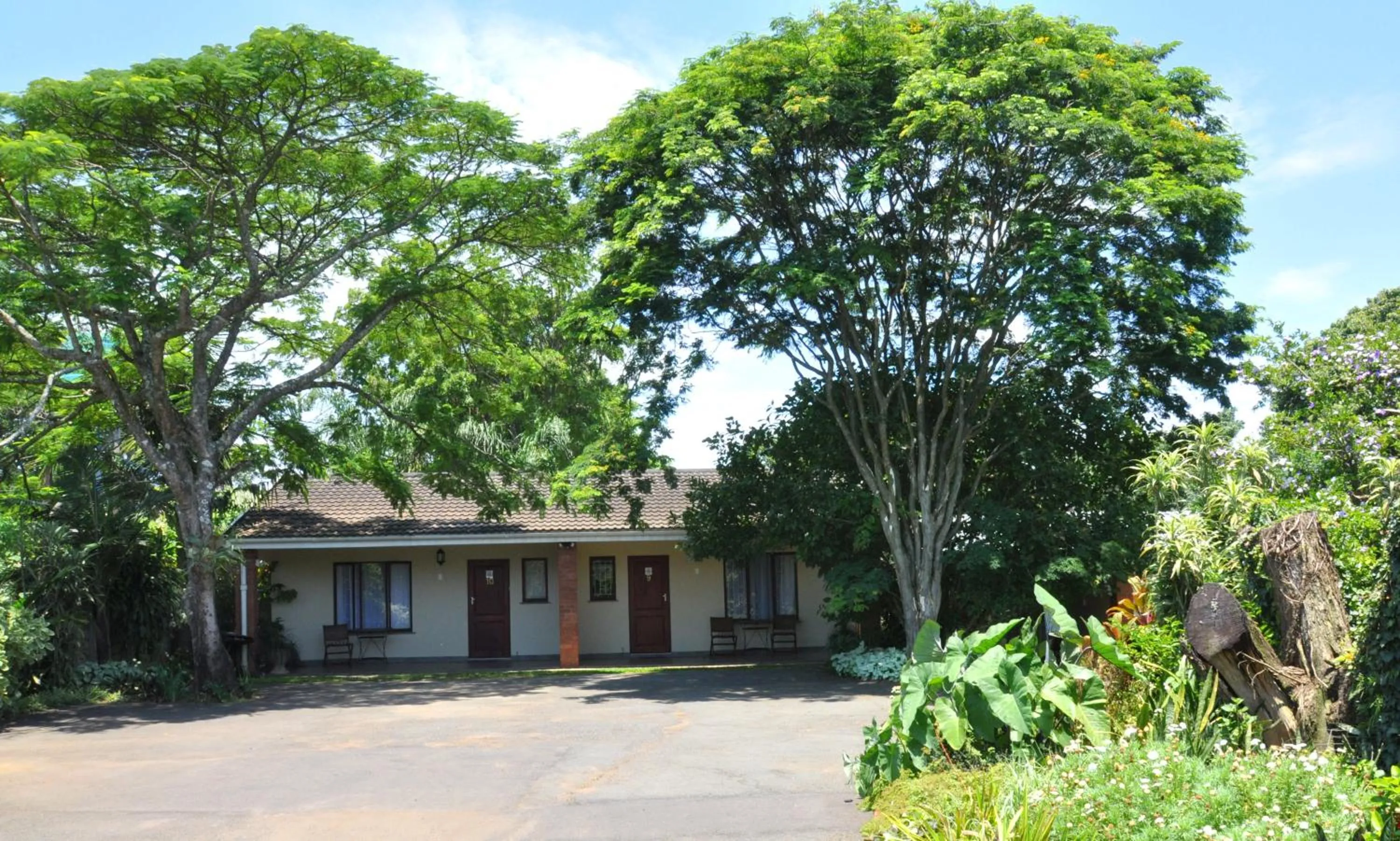 Garden in Birds of Paradise B&B