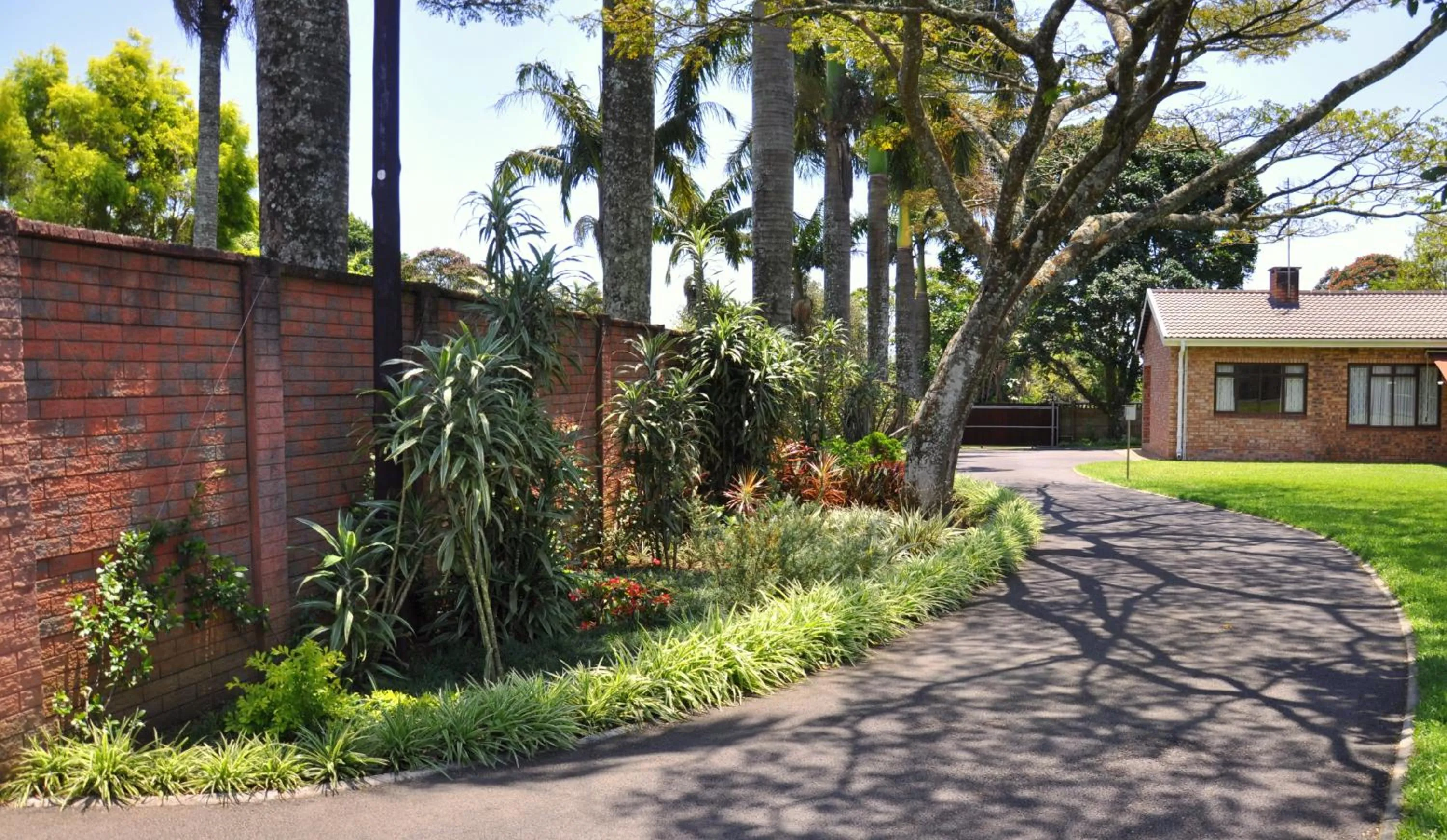 Garden in Birds of Paradise B&B