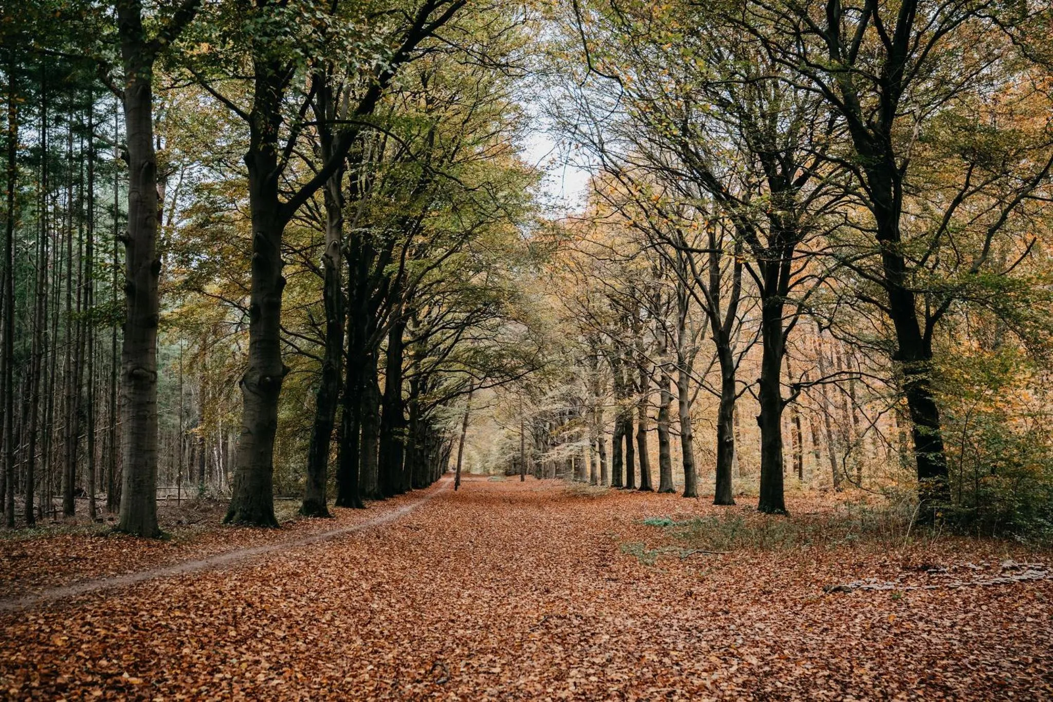 Spring in Boetiekhotel De Kastanjehof