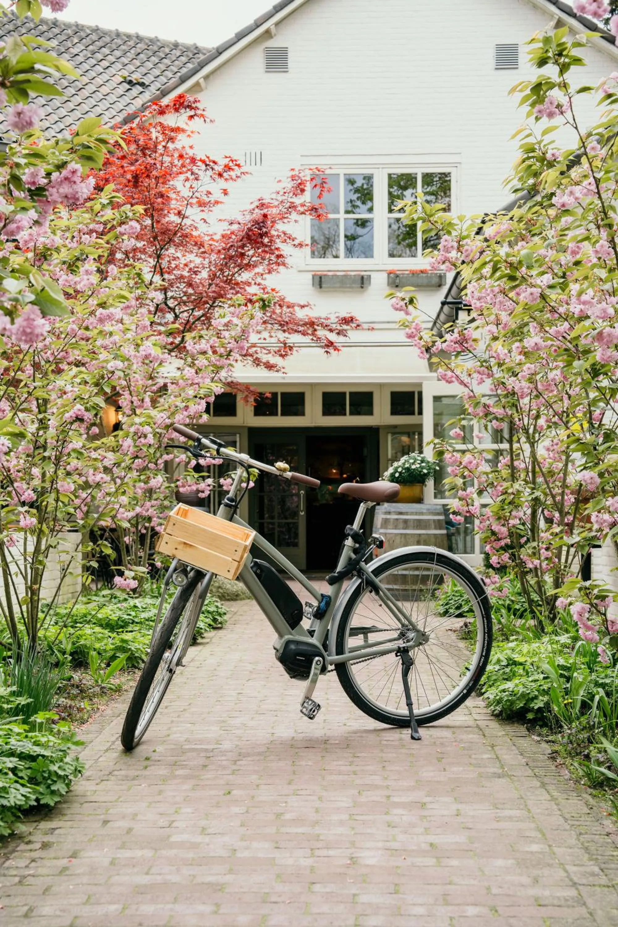 Cycling in Boetiekhotel De Kastanjehof