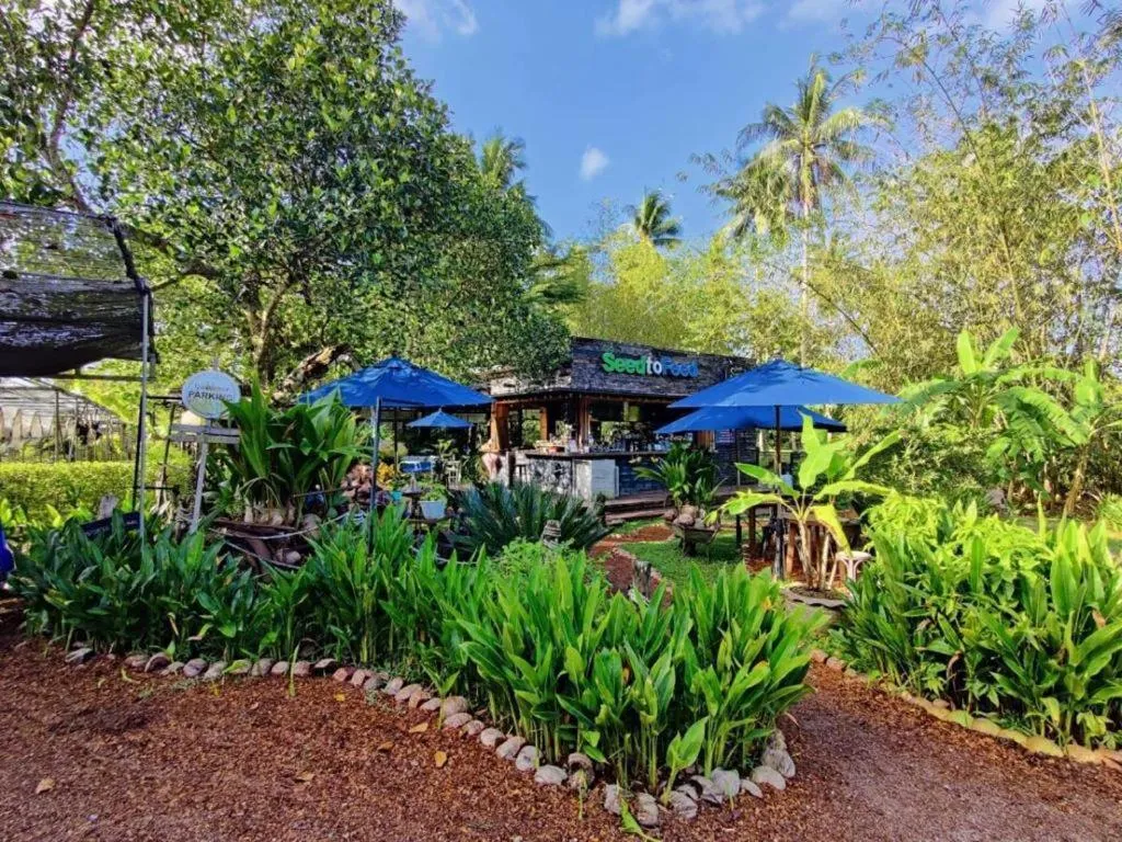 Restaurant/places to eat in The Willow Phangan