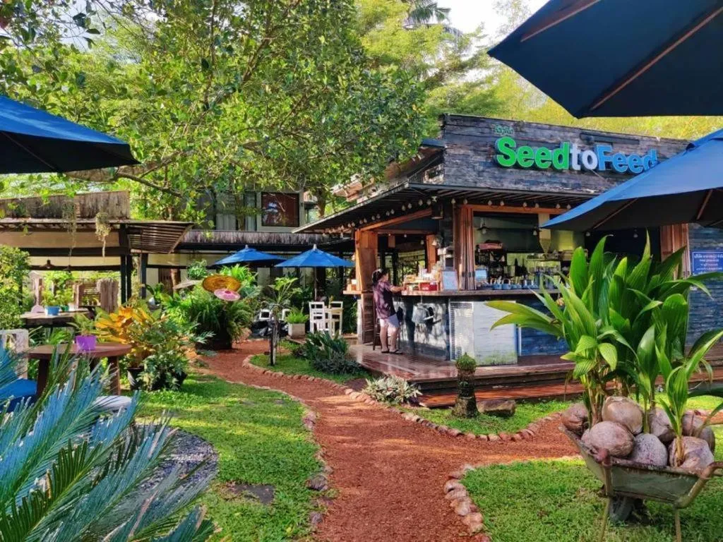 Restaurant/places to eat in The Willow Phangan