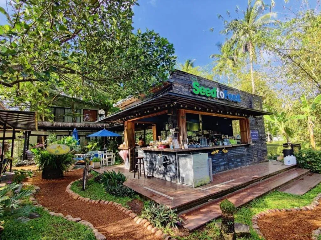 Restaurant/places to eat in The Willow Phangan