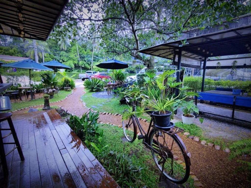 Restaurant/places to eat in The Willow Phangan