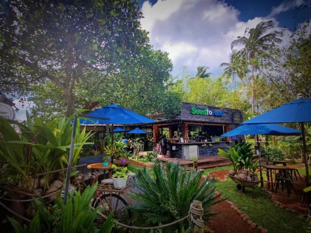 Restaurant/places to eat in The Willow Phangan