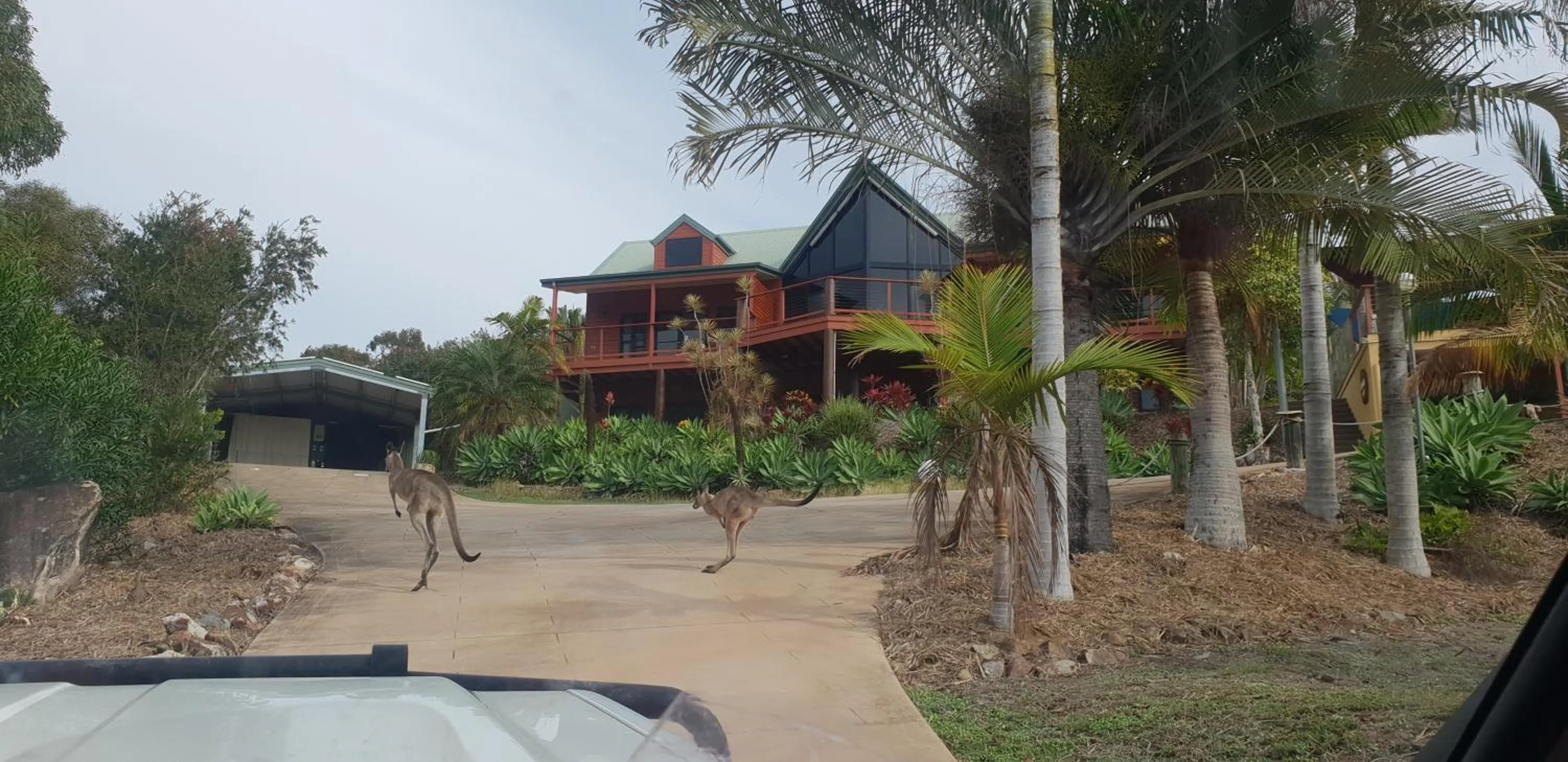 Property building in Escape 1770 Motel - No Kids - NO SMOKING - No Partying