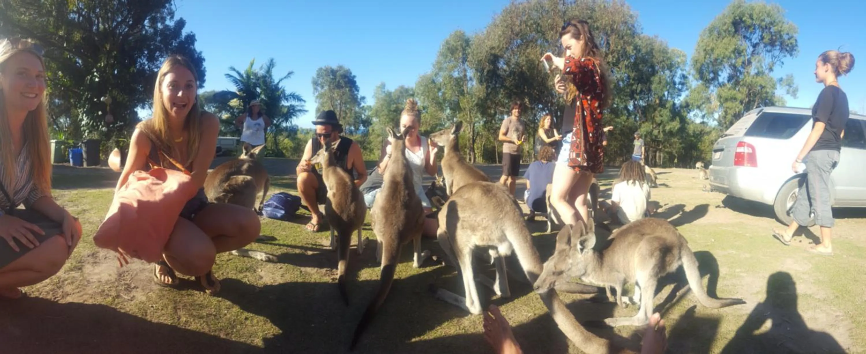 People in Escape 1770 Motel - No Kids - NO SMOKING - No Partying