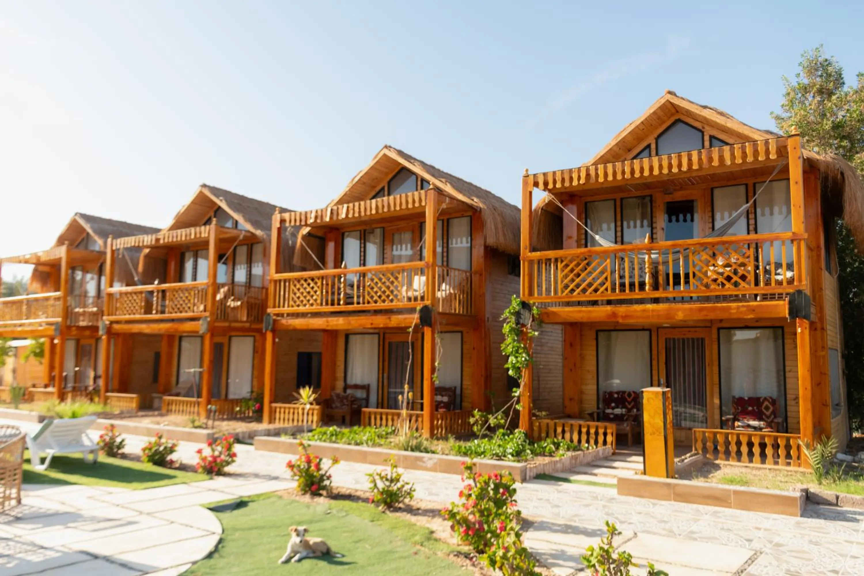 Green Beach Camp & Hotel