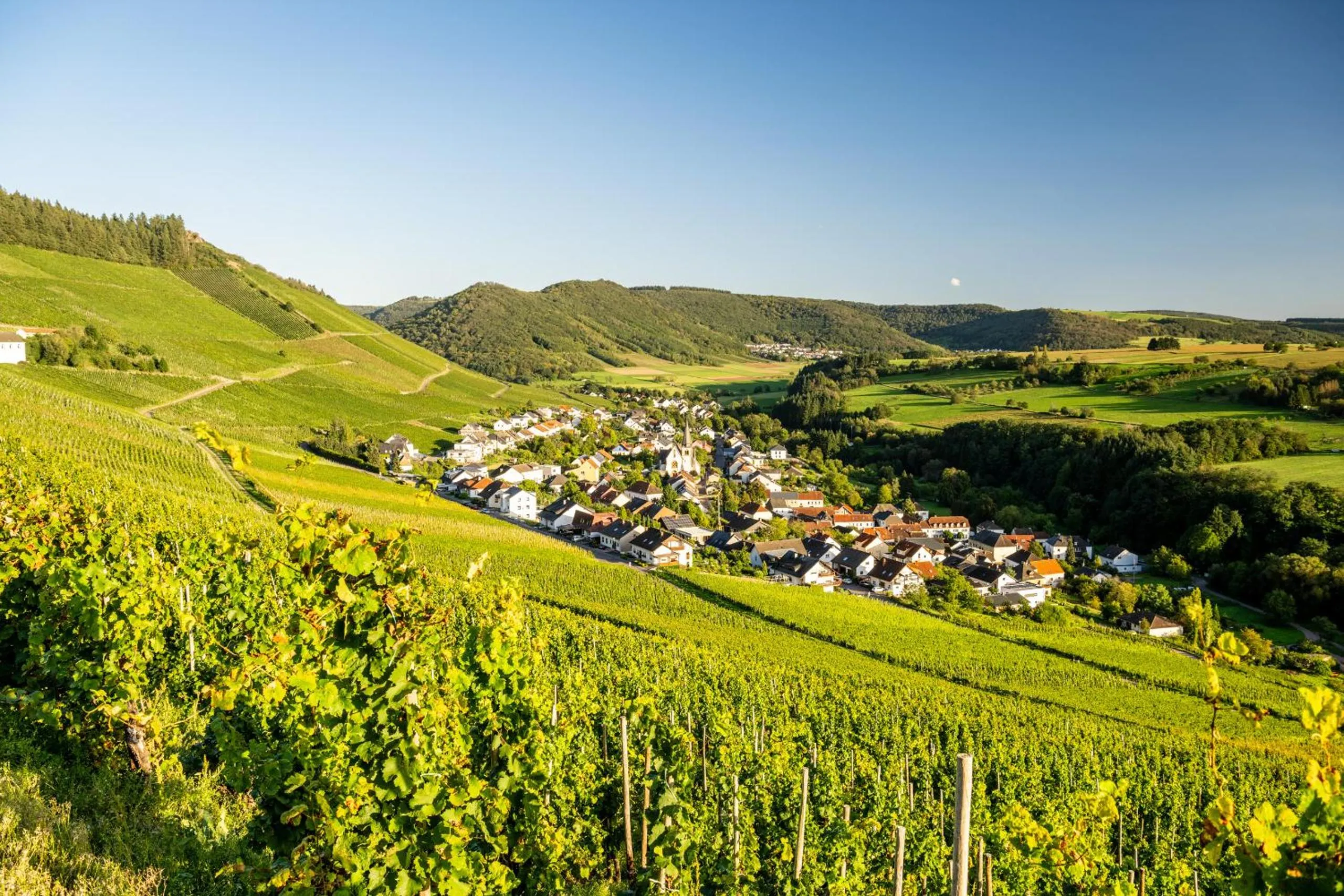 Natural landscape in Weinhotel Restaurant Klostermühle