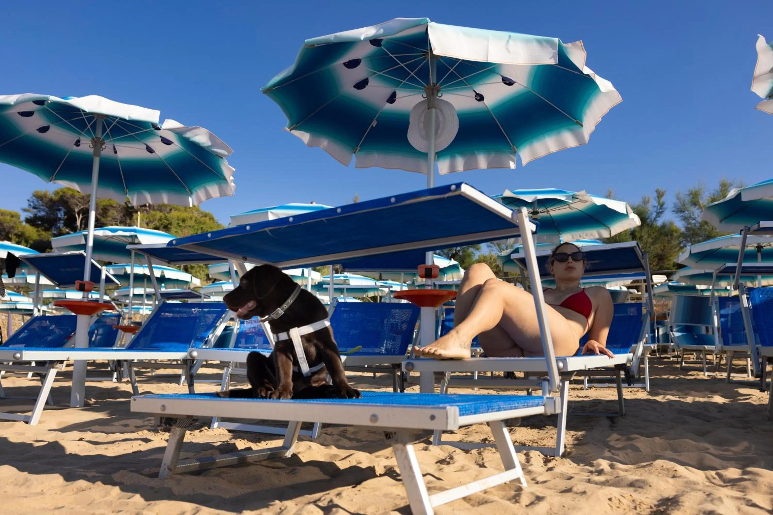 Beach in Paglianza Hotel