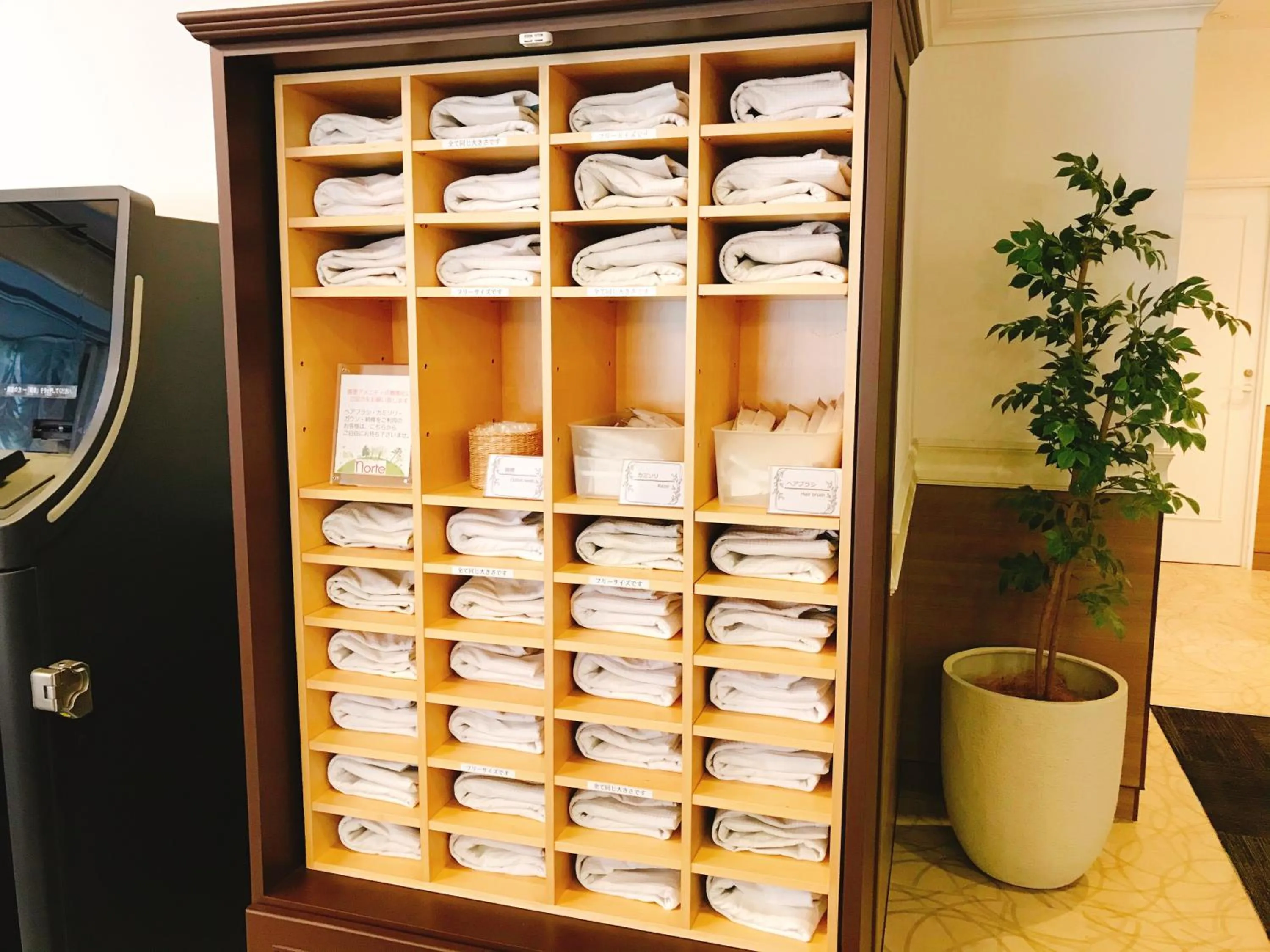 wardrobe in Business Inn Norte