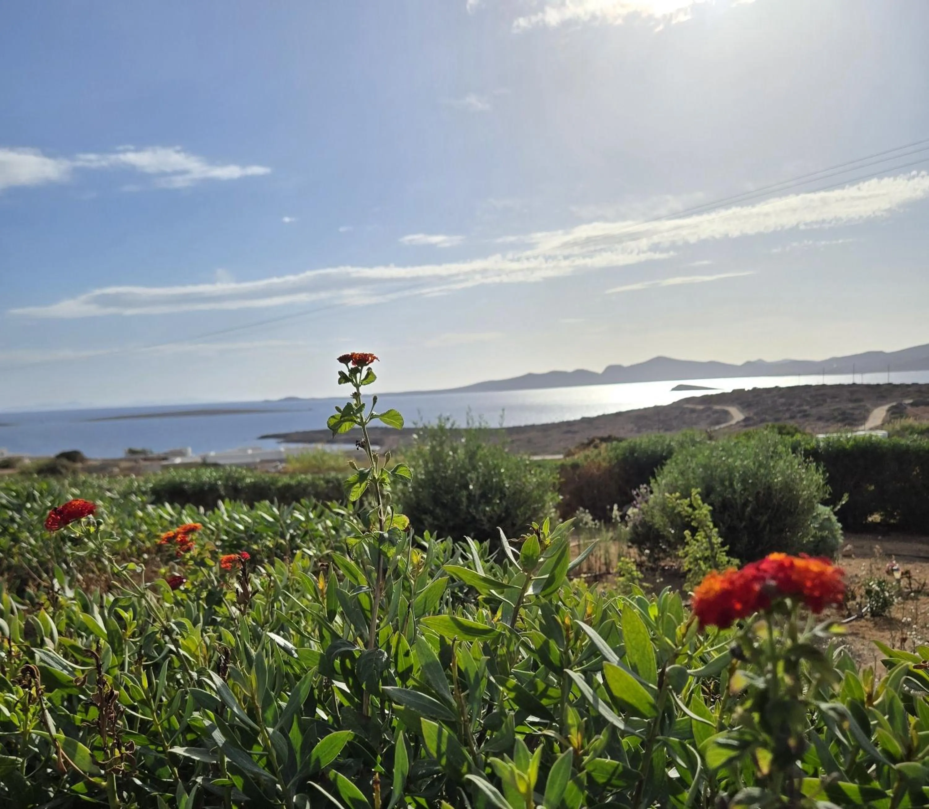 Property building in Paros Afrodite Luxury Villas