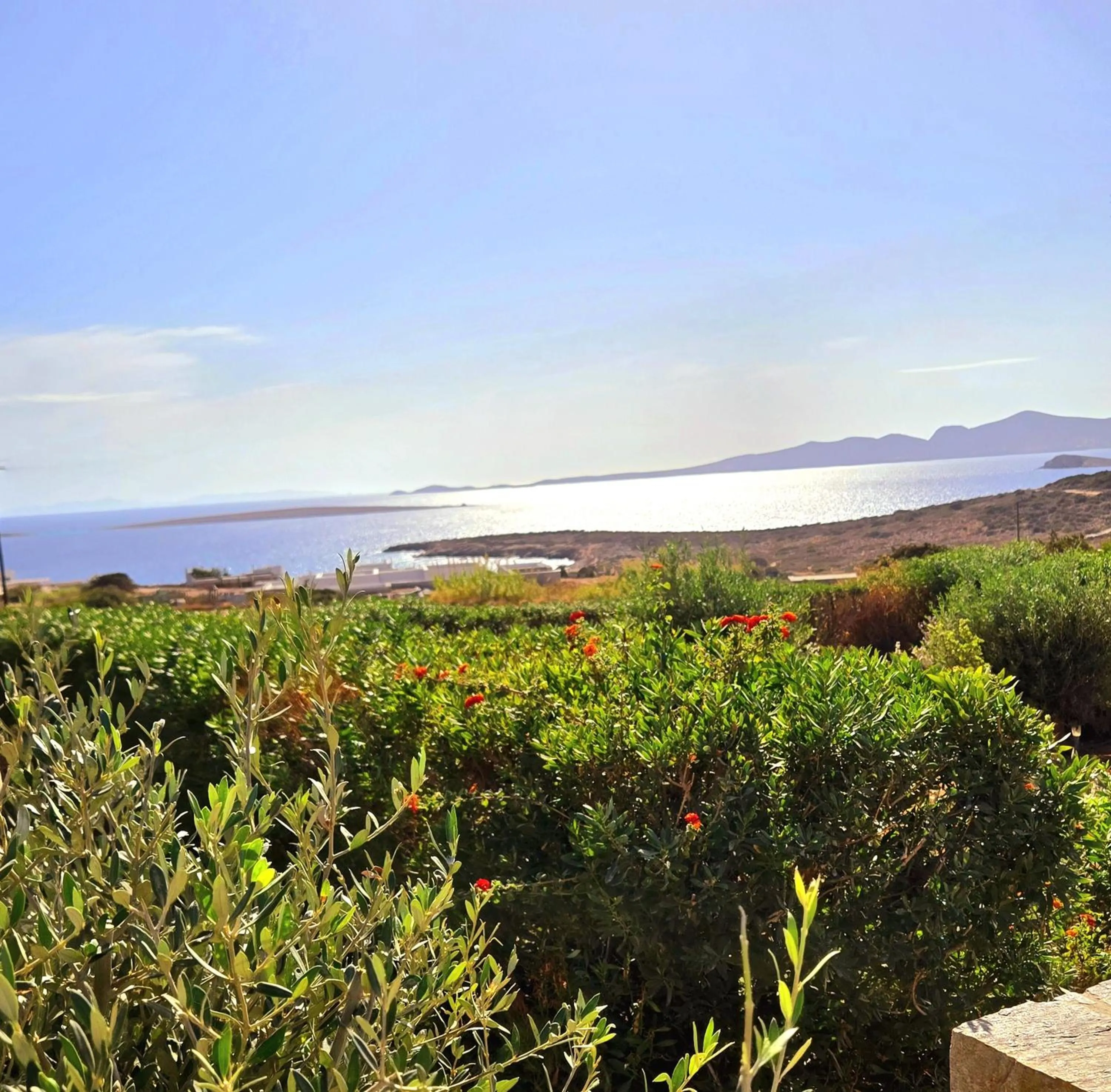 Property building in Paros Afrodite Luxury Villas