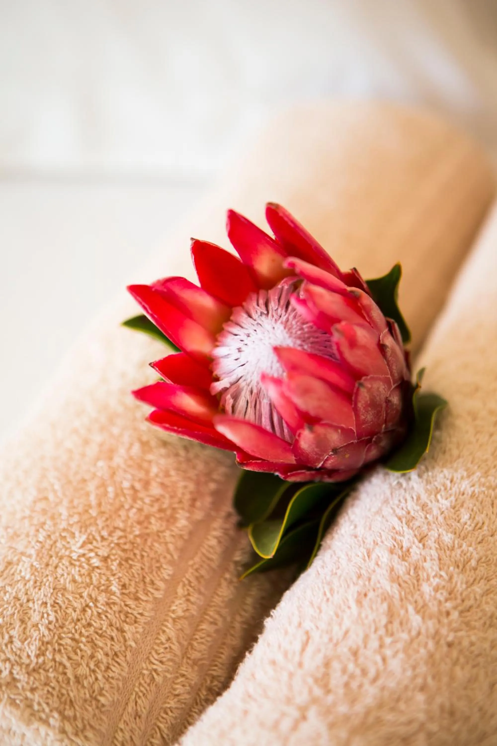 Skilpadvlei Wine Farm