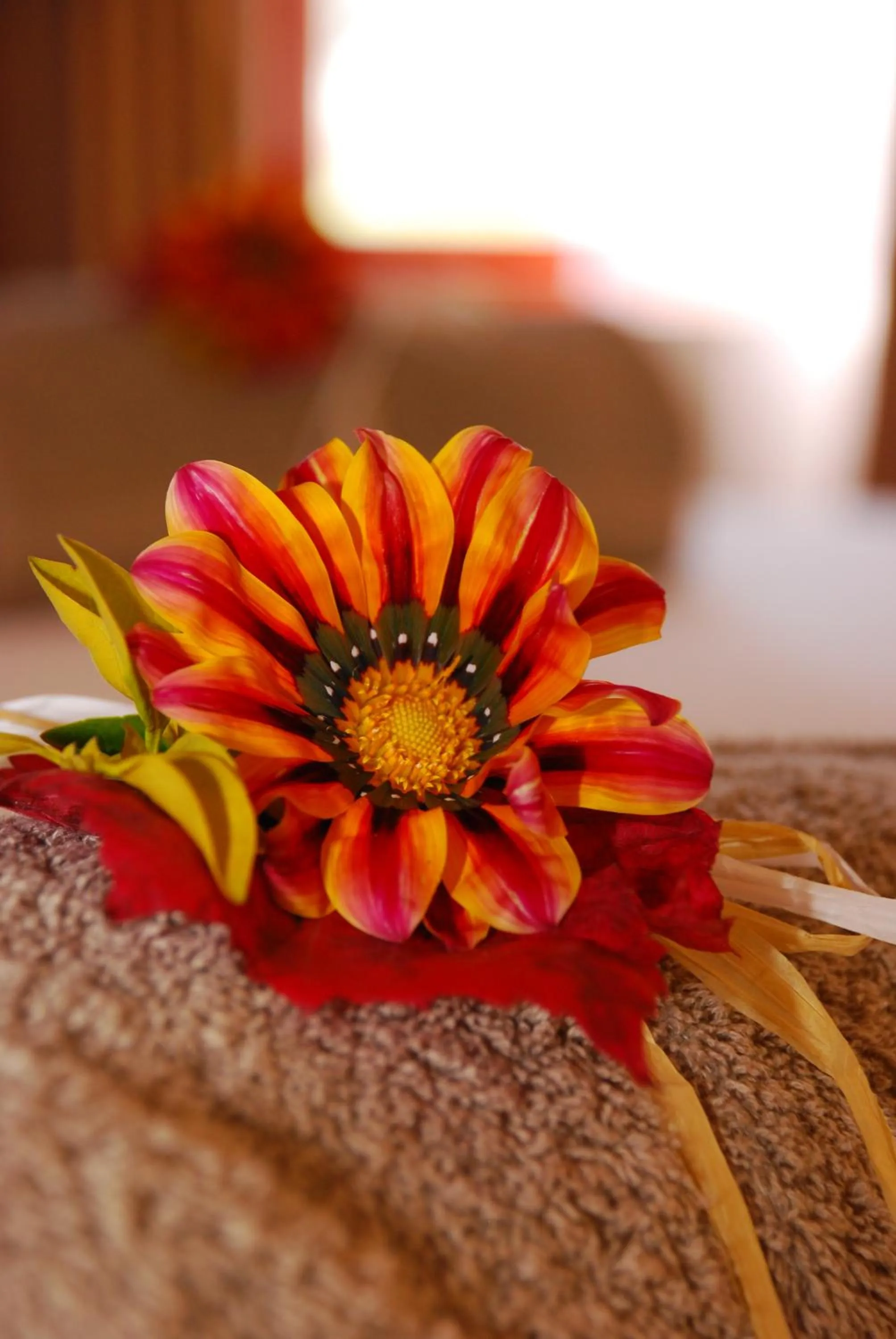 Decorative detail in Skilpadvlei Wine Farm