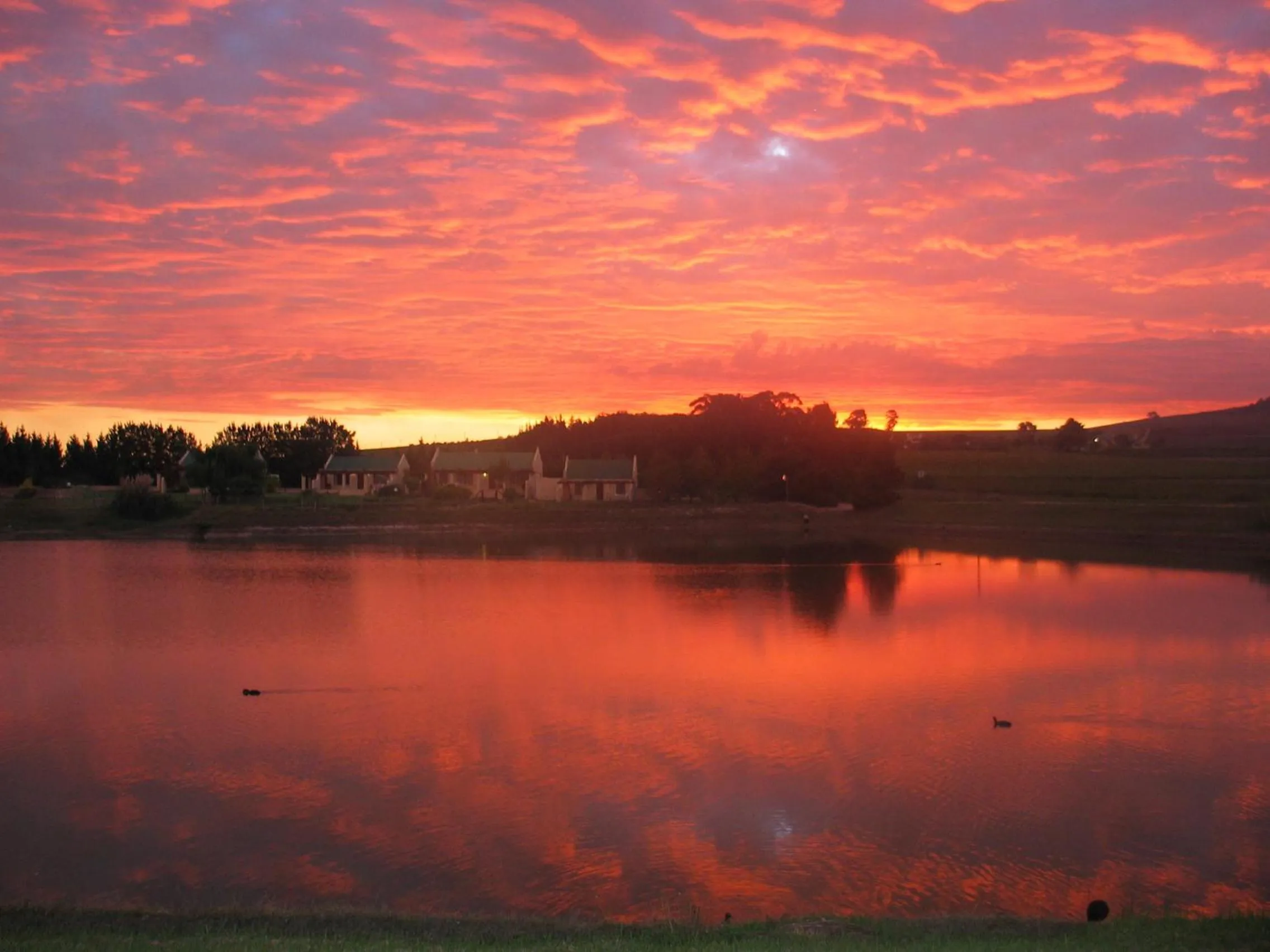 Lake view in Skilpadvlei Wine Farm