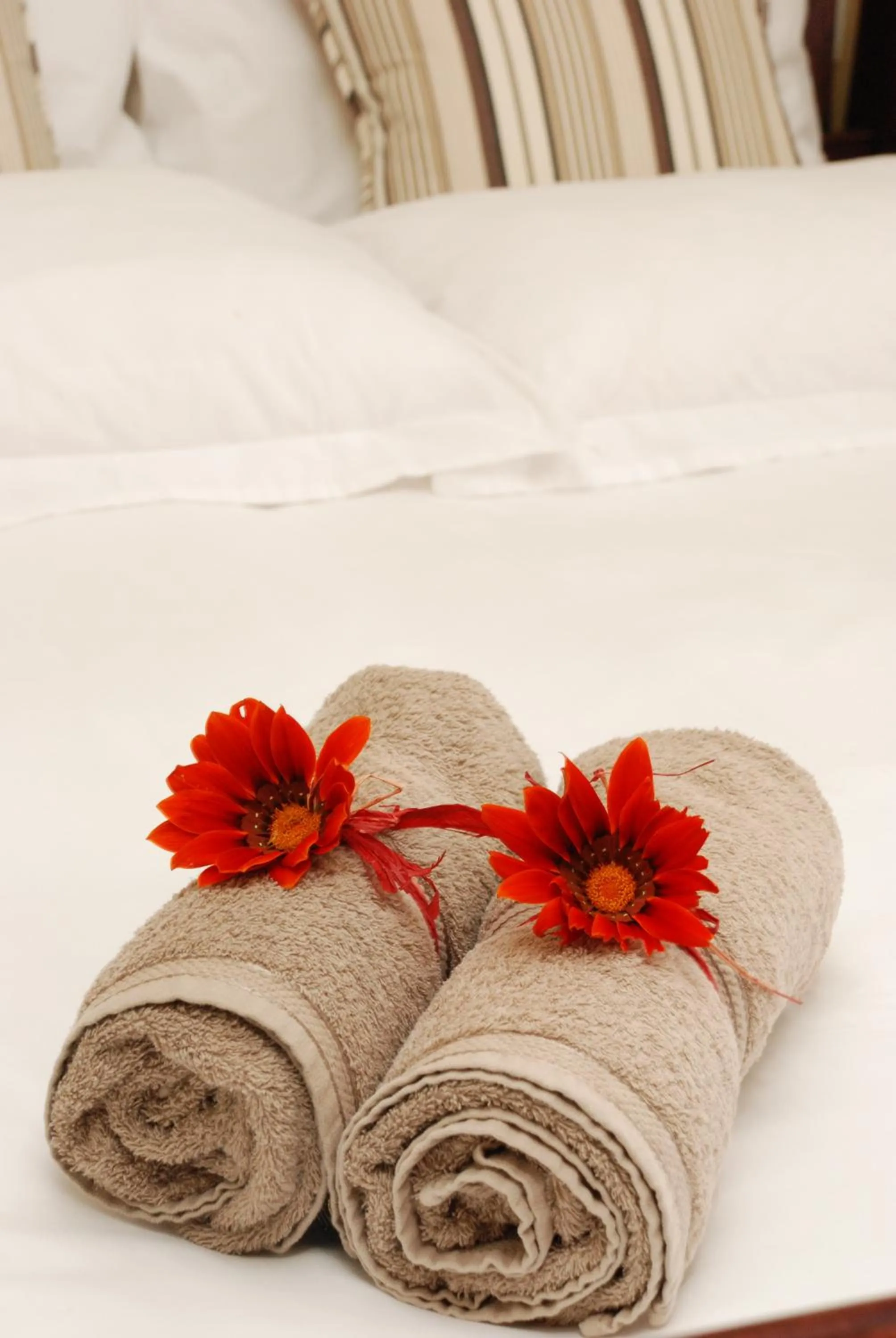 Decorative detail in Skilpadvlei Wine Farm