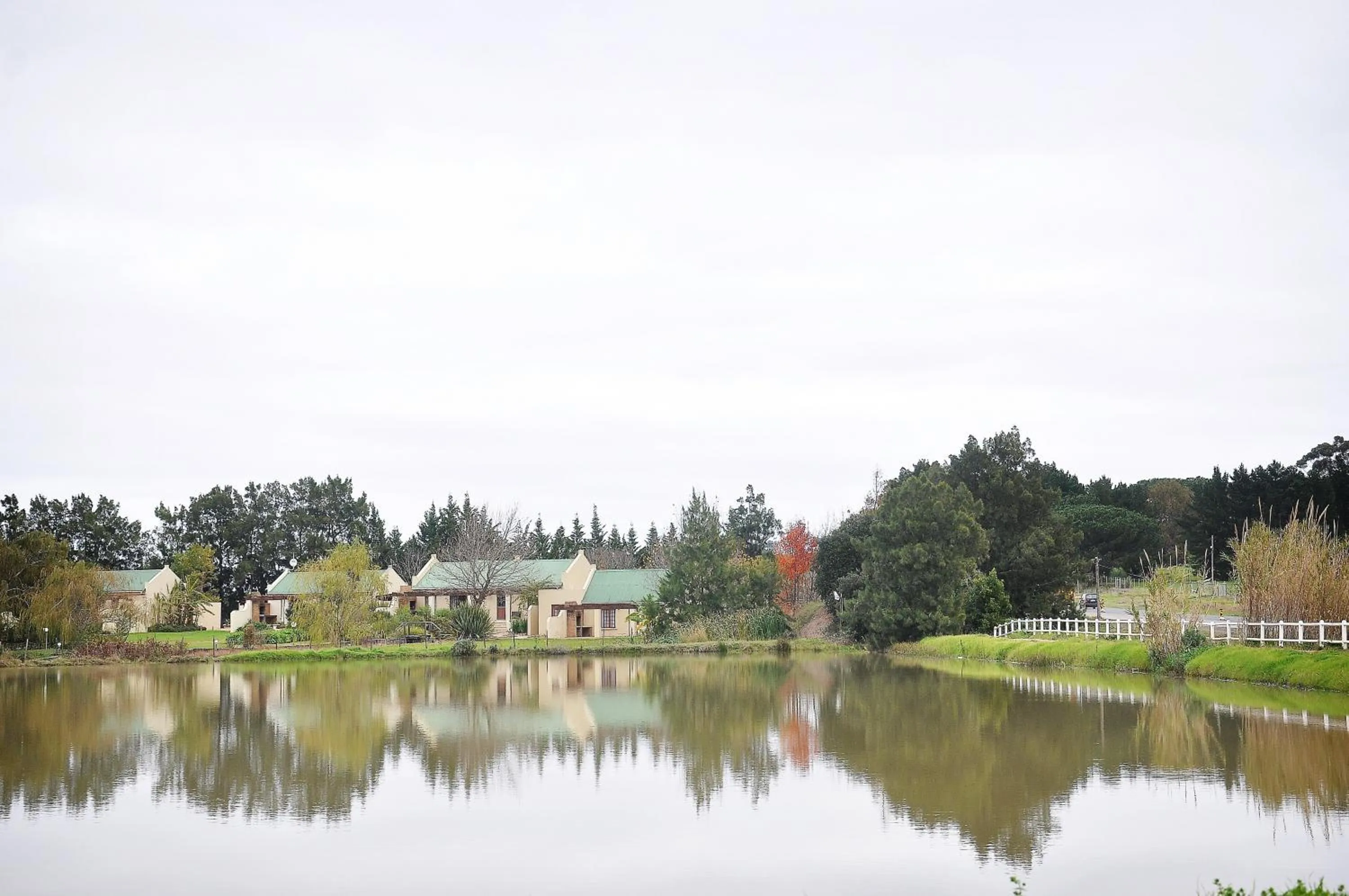 Lake view in Skilpadvlei Wine Farm