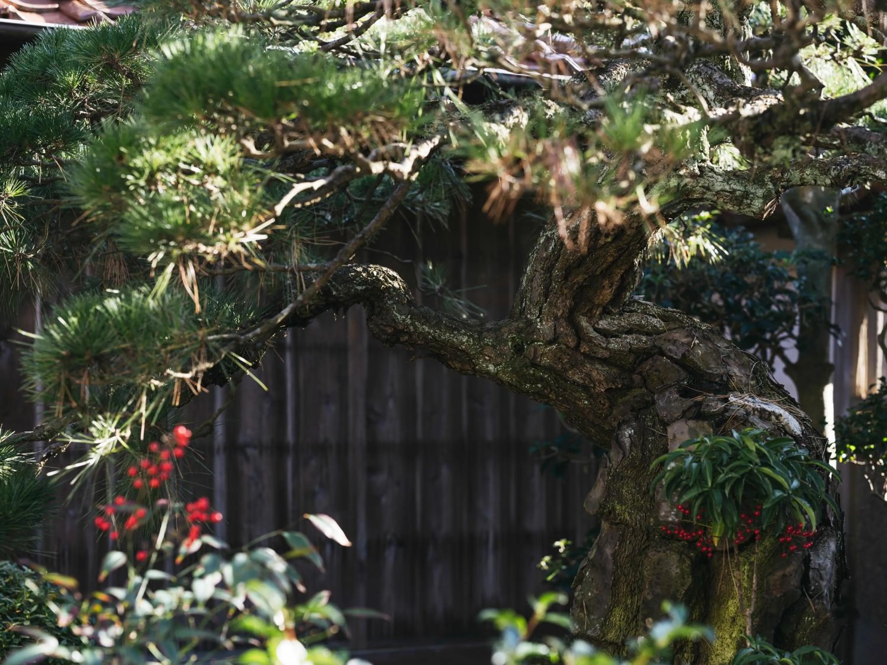 Other in RITA Izumo Sagiura