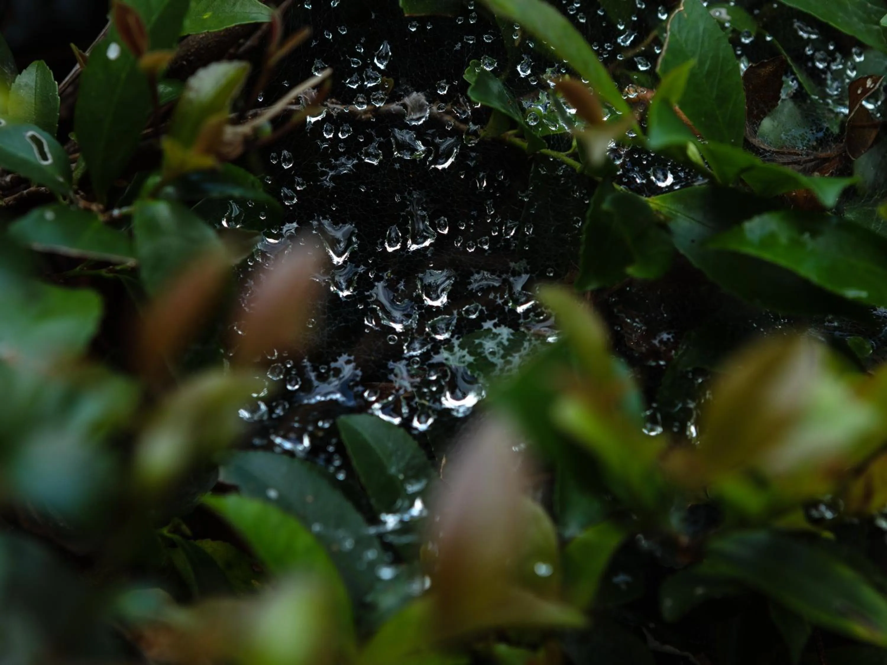 Off site in RITA Izumo Sagiura