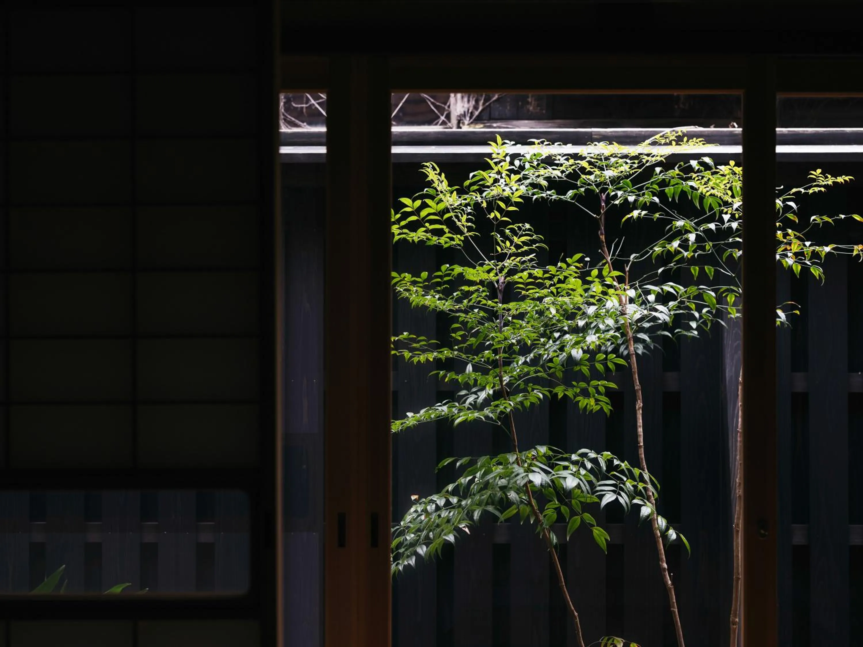 Photo of the whole room in RITA Izumo Sagiura