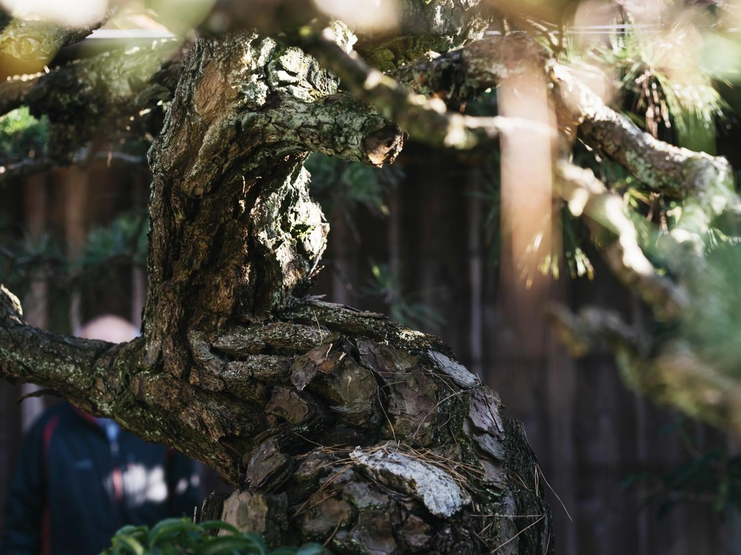 Other in RITA Izumo Sagiura