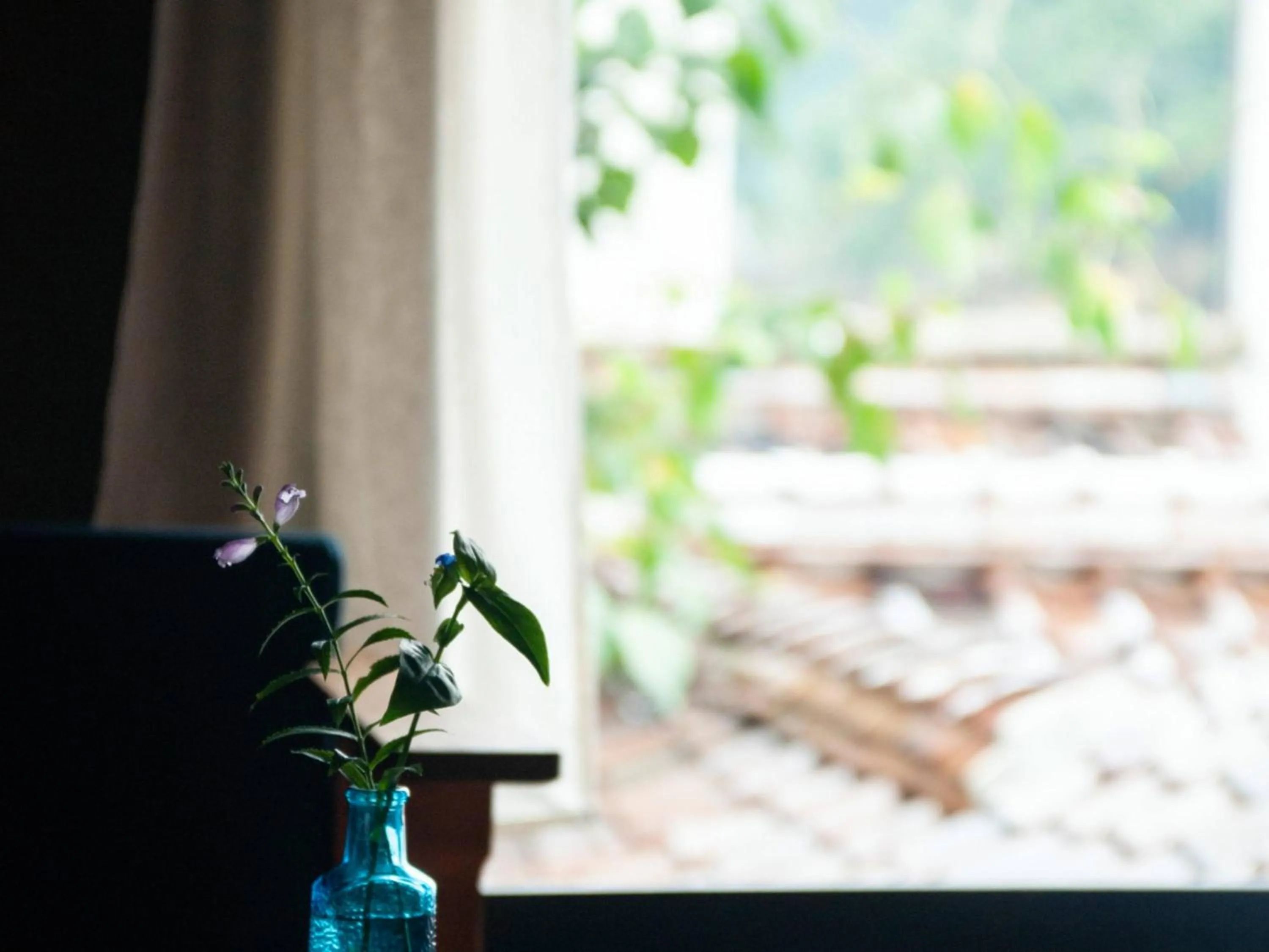 Day in RITA Izumo Sagiura