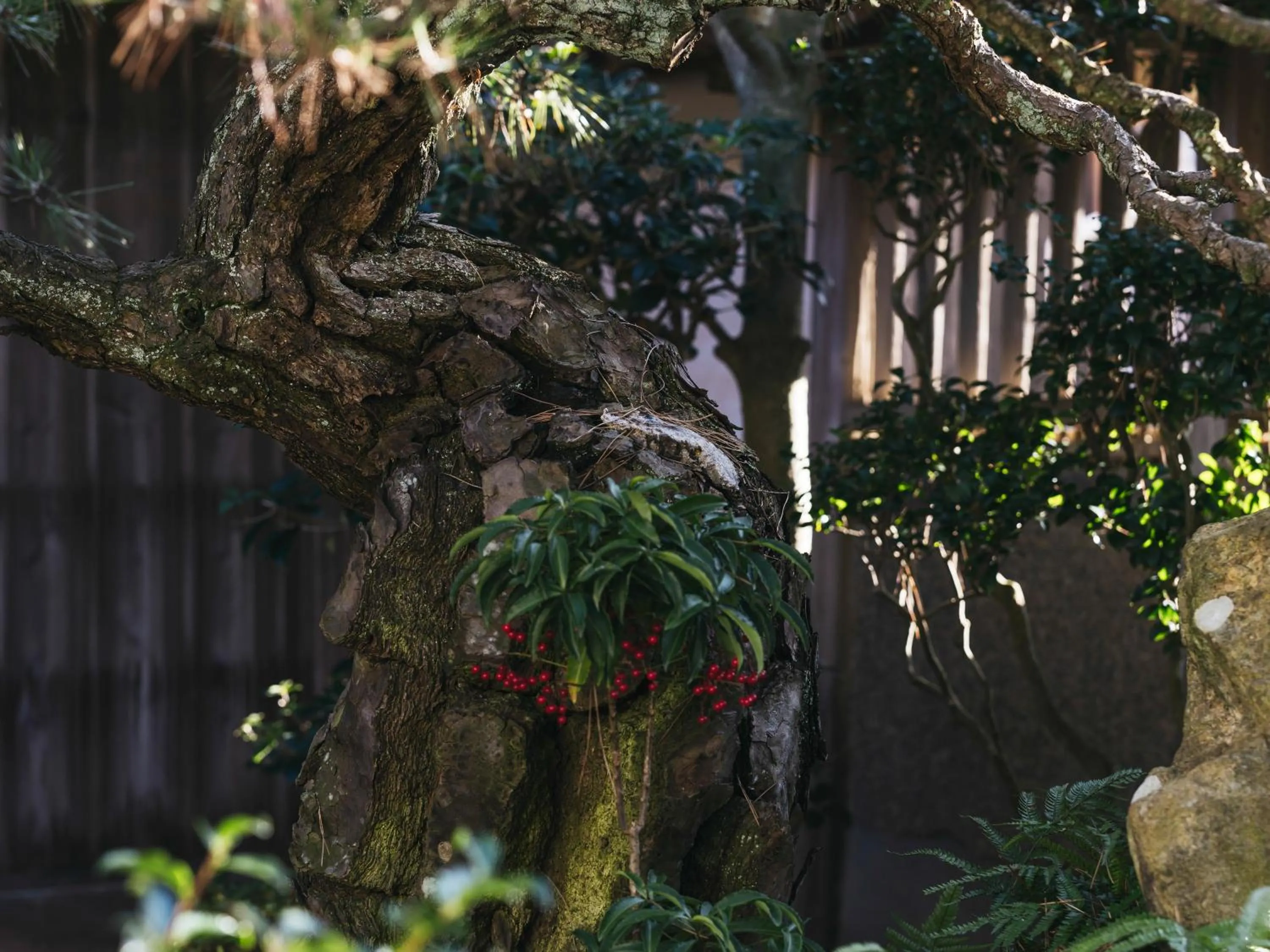 Property building in RITA Izumo Sagiura