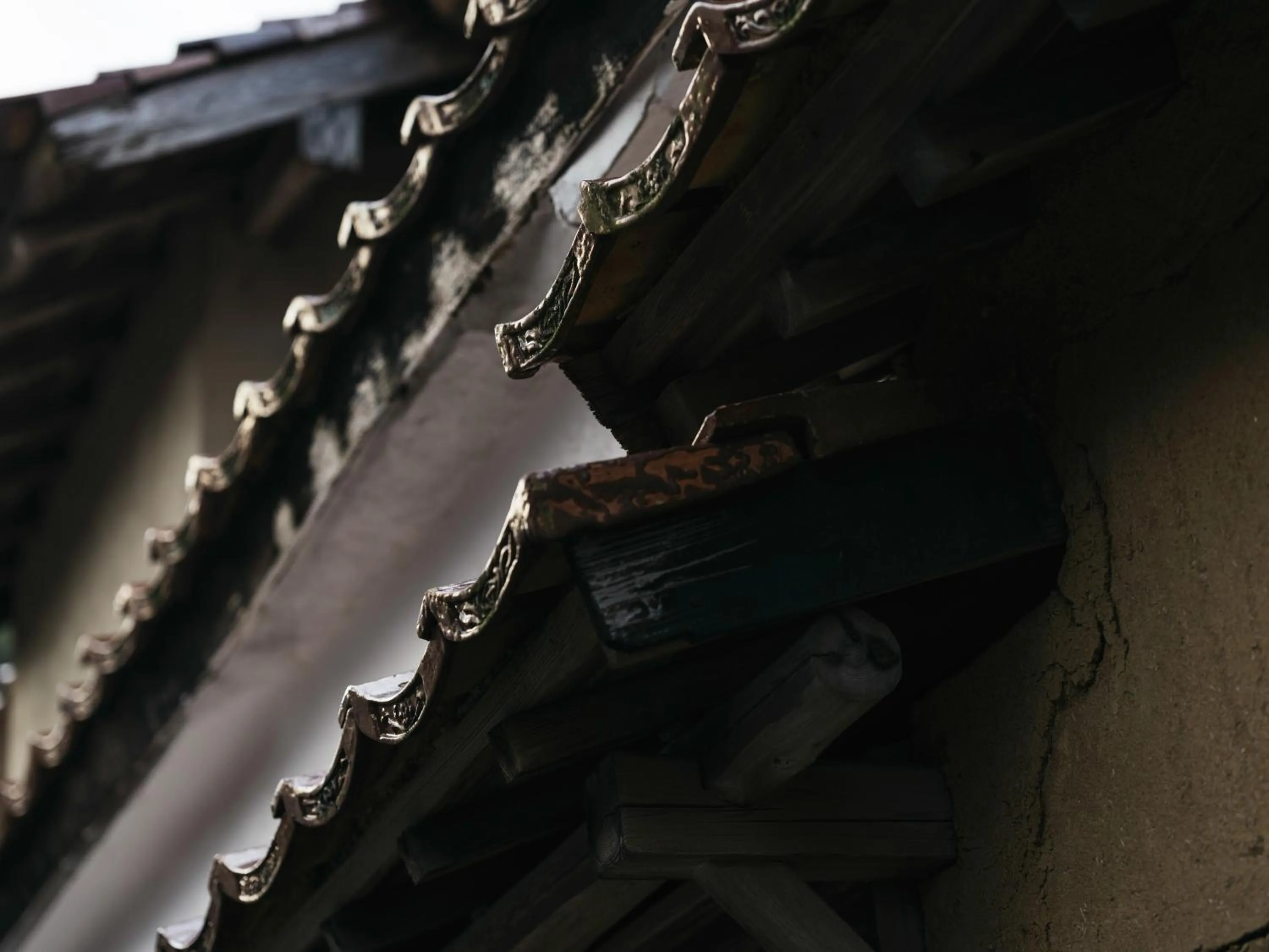 Other in RITA Izumo Sagiura